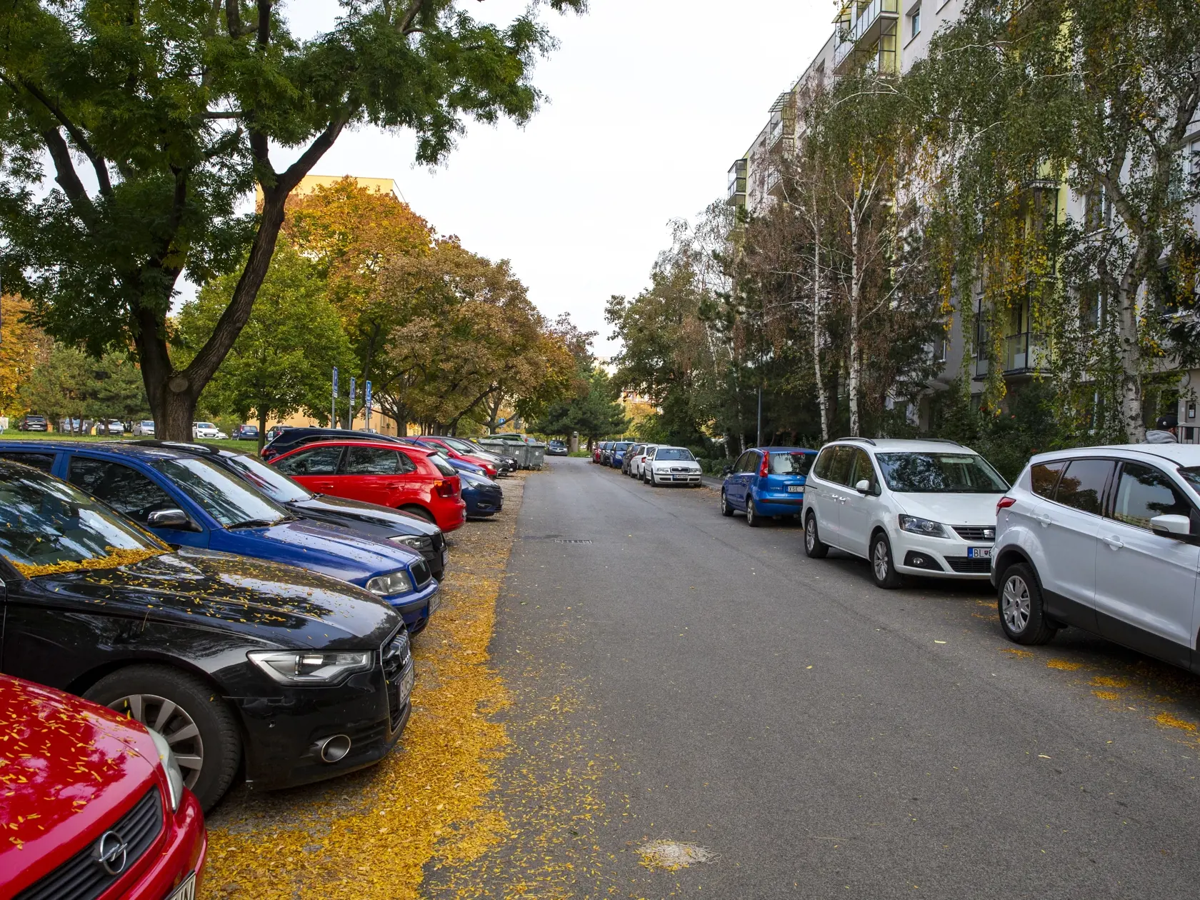 Na snímke je Štefunková ulica, kde býval udajný strelec z útoku na Zámockej ulici. 