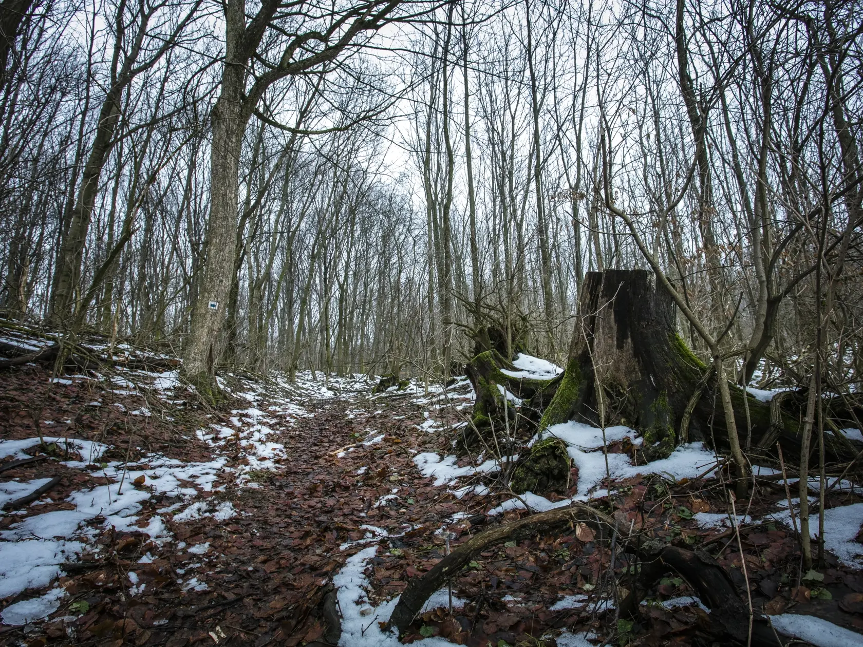 Pohorie Tribeč naháňa strach a dôvodov na to je skutočne veľa...