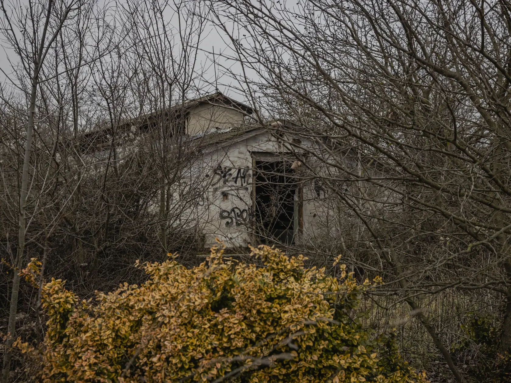 V areáli bývalého družstva v obci Miloslavov došlo k fyzickému útoku na 11-ročného dievča, ktoré útočníci najprv proti jej vôli omámili alkoholom.
