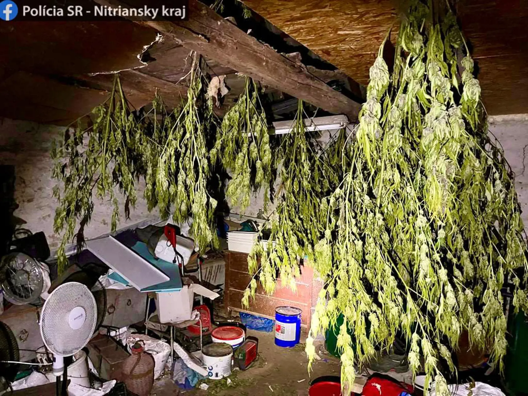 Ján Č. sušil marihuanu, ktorú zrejme ponúkal klientom