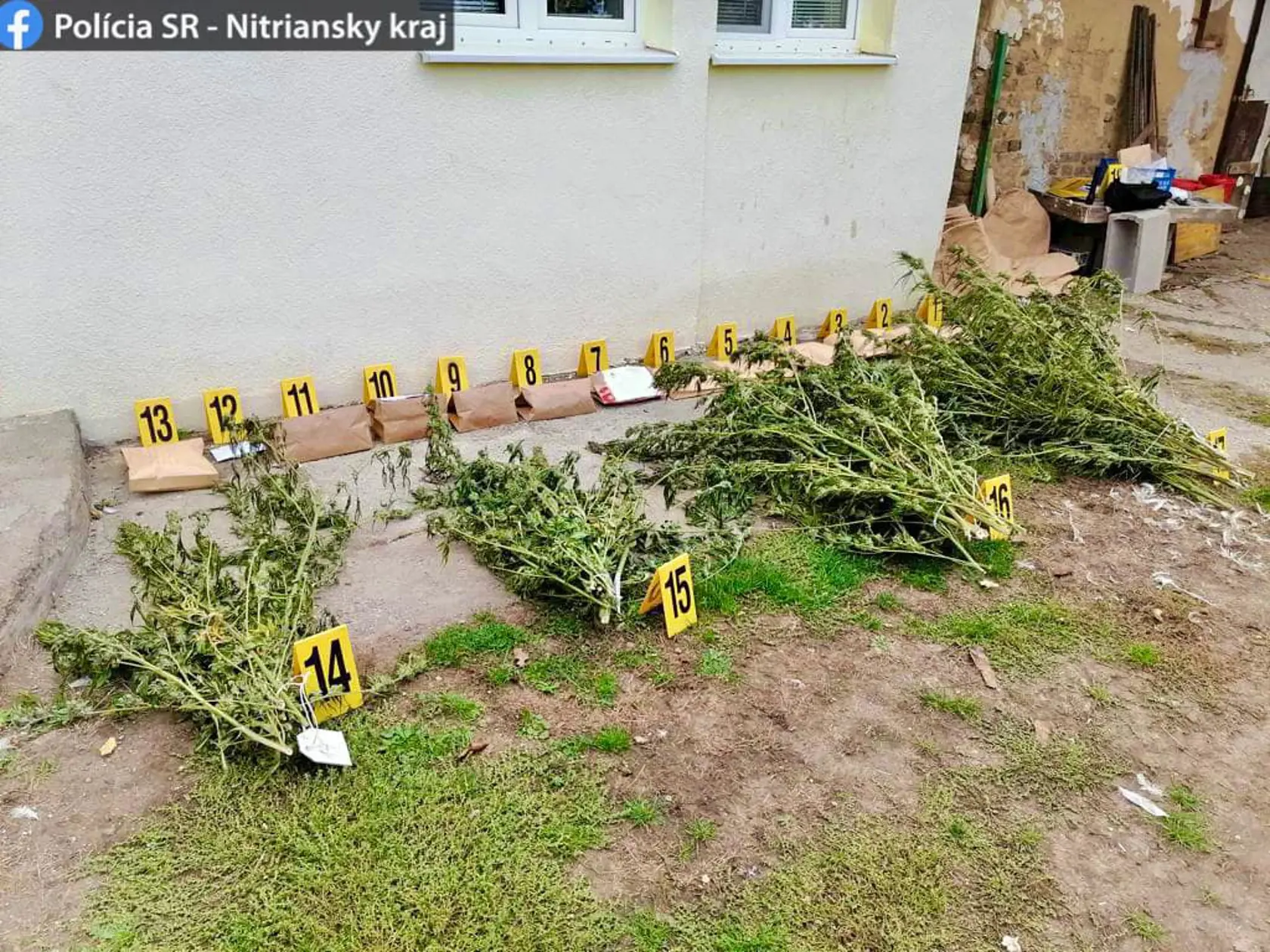 Muž je obvinený z drogovej činnosti