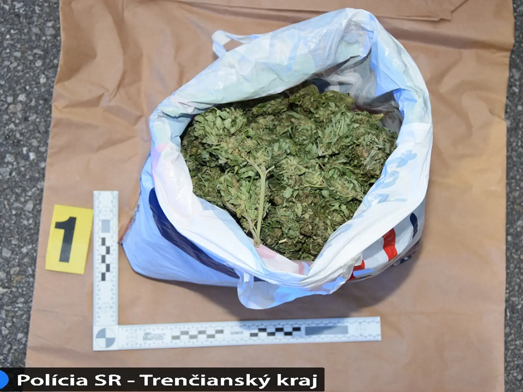 Policajti z Nového Mesta nad Váhom zadržali 29-ročného muža českej národnosti, ktorý mal v osobnom motorovom vozidle zelenú sušenú rastlinu zabalenú v igelitovej taške. Informovala o tom trenčianska krajská policajná hovorkyňa Katarína Kuzmová. „Na základe predbežného vyjadrenia kriminalisticko-expertízneho ústavu bolo zistené, že predmetný materiál vykazoval znaky typické pre rastlinu rodu Cannabis. Z predloženého množstva by bolo možné pripraviť minimálne 1647 bežných jednotlivých dávok drogy,