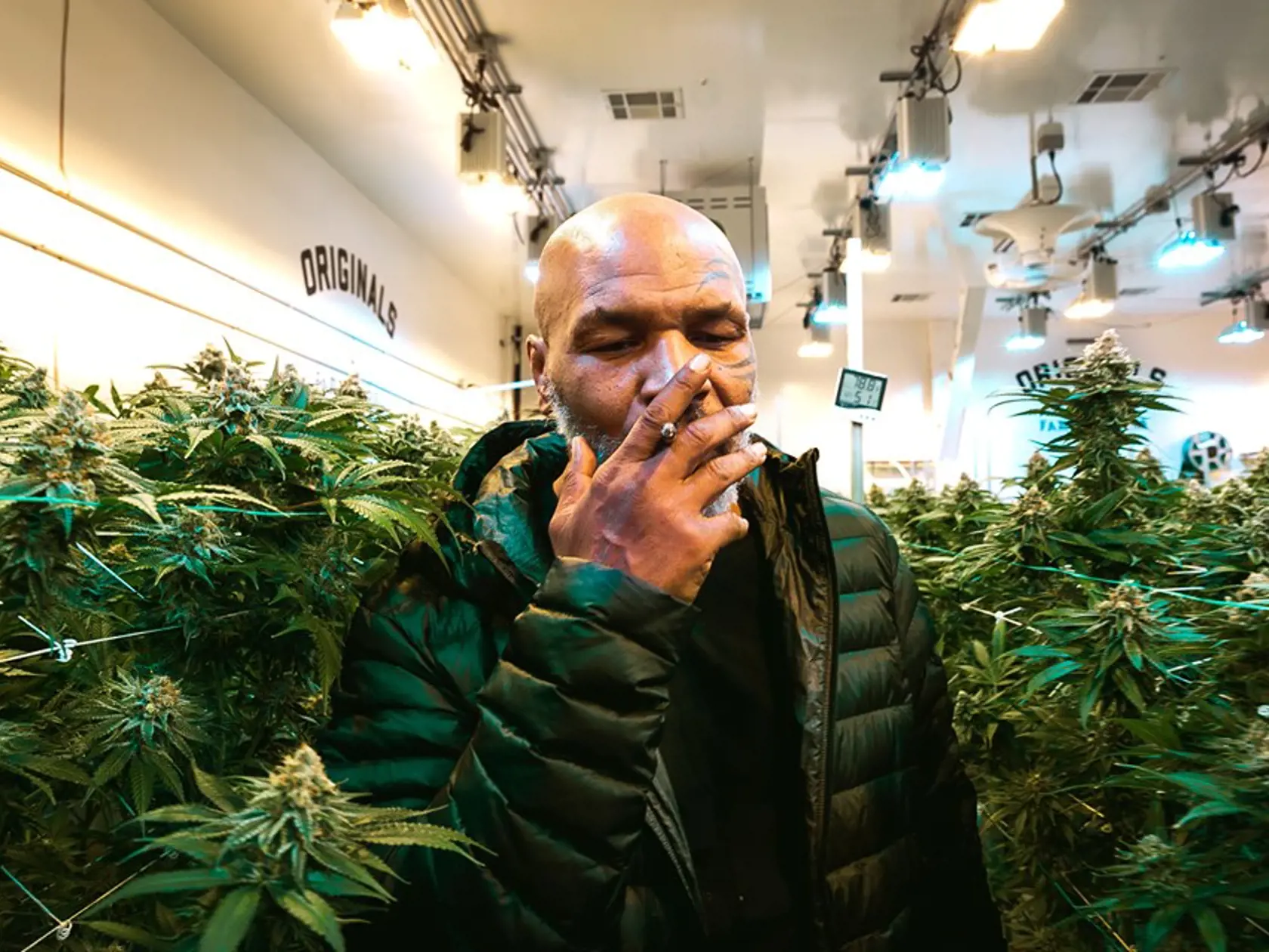 Mike Tyson