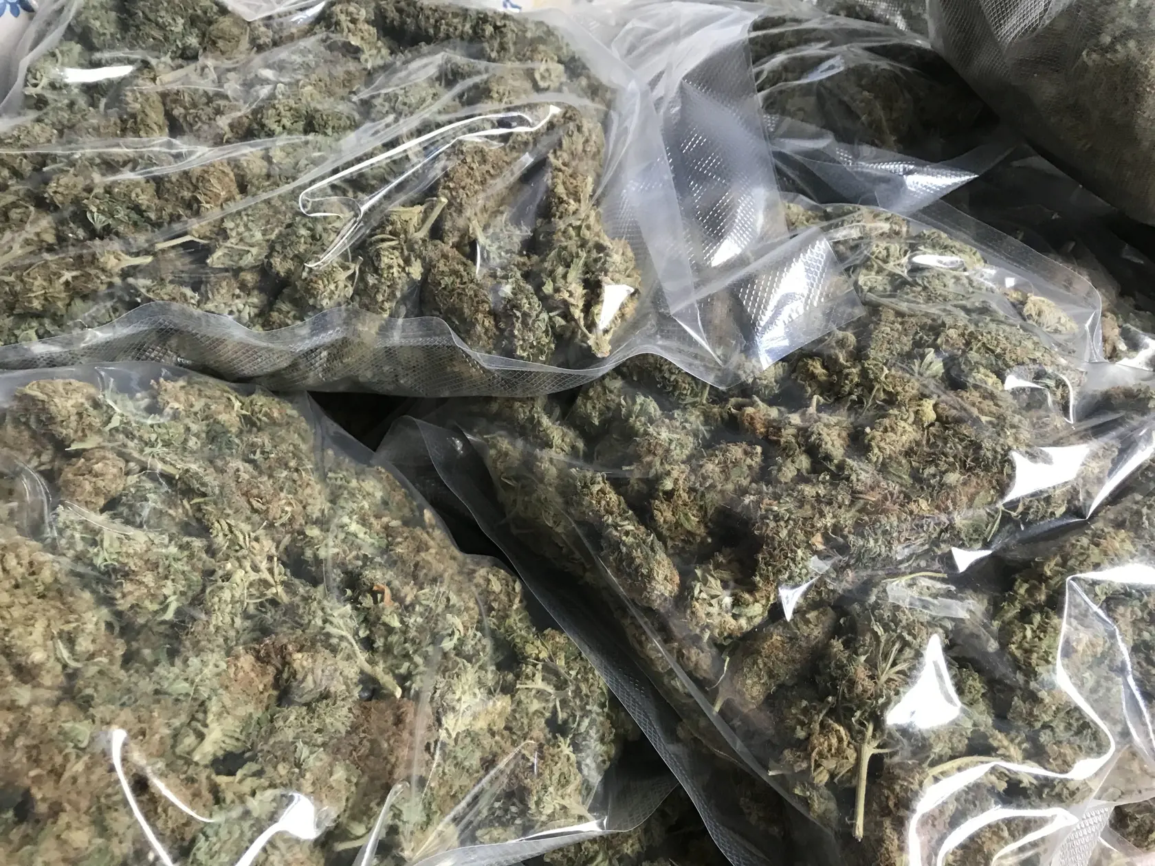 Zadržaná marihuana.