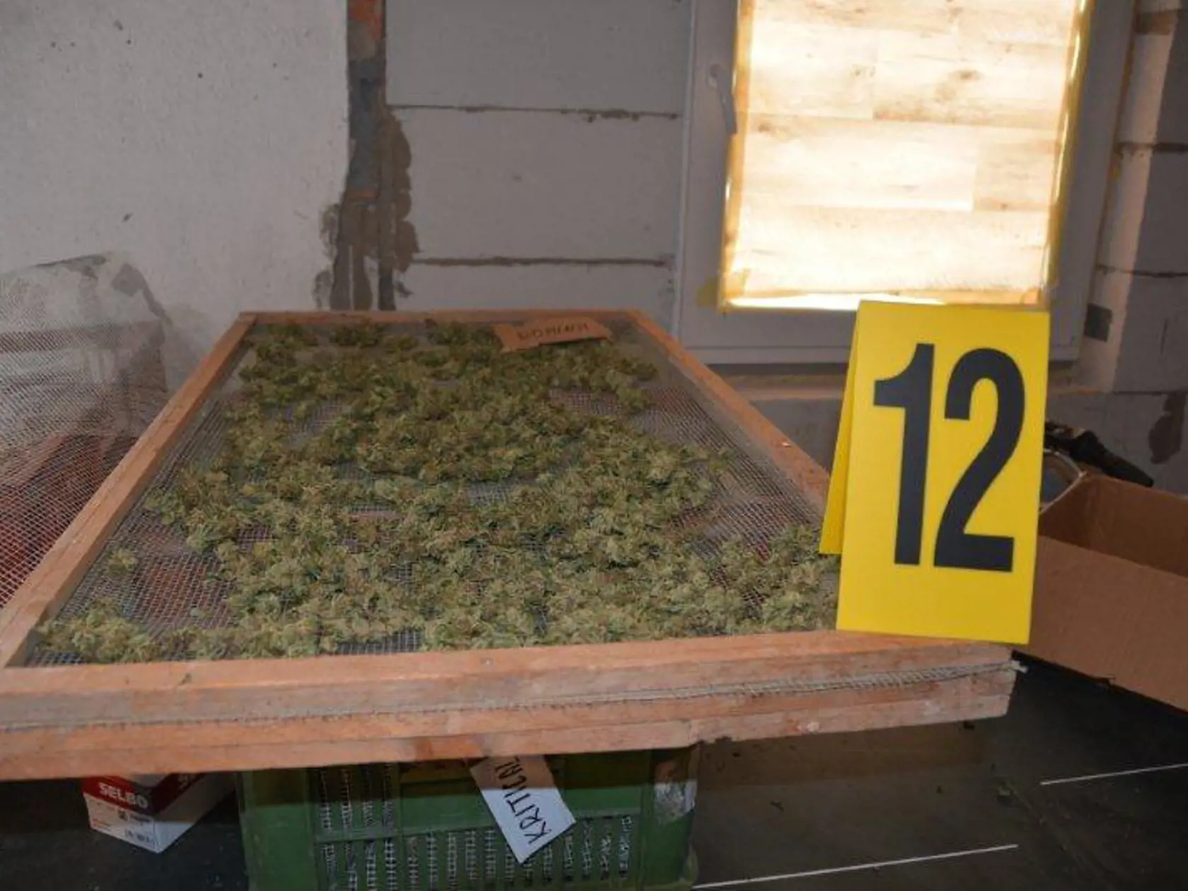 Polícia vo Veľkom Krtíši zadržala naozaj veľké množstvo marihuany.