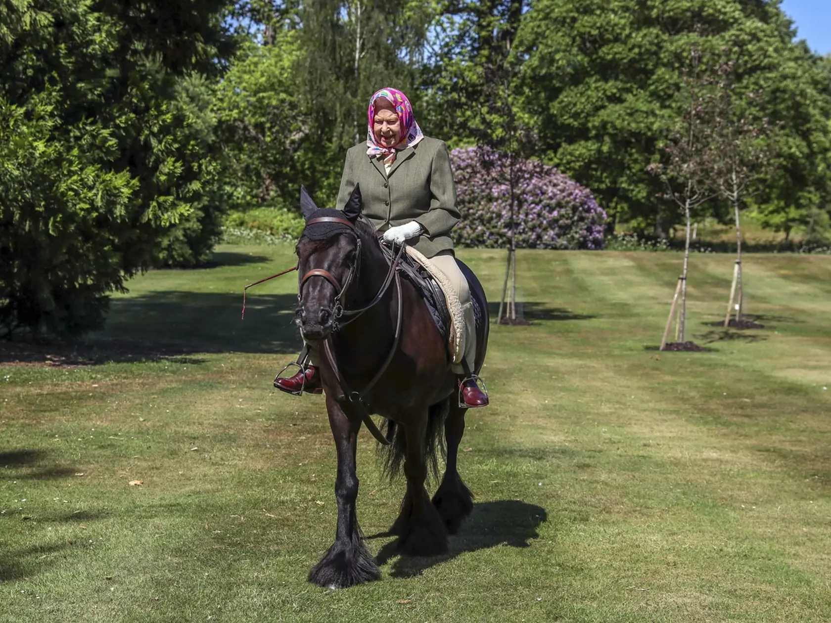 Kráľovná na prechádzke na svojom obľúbenom fellskom pony v okolí Windsorského zámku.