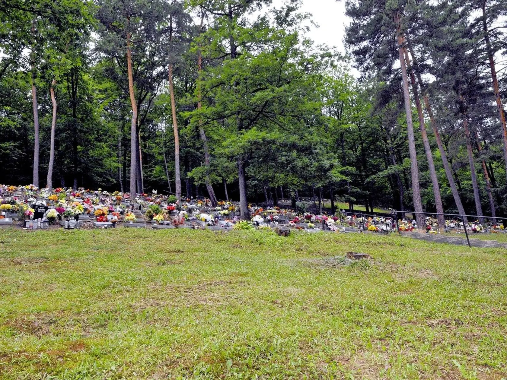 V urnovom háji v Kremničke je približne 1 700 miest.