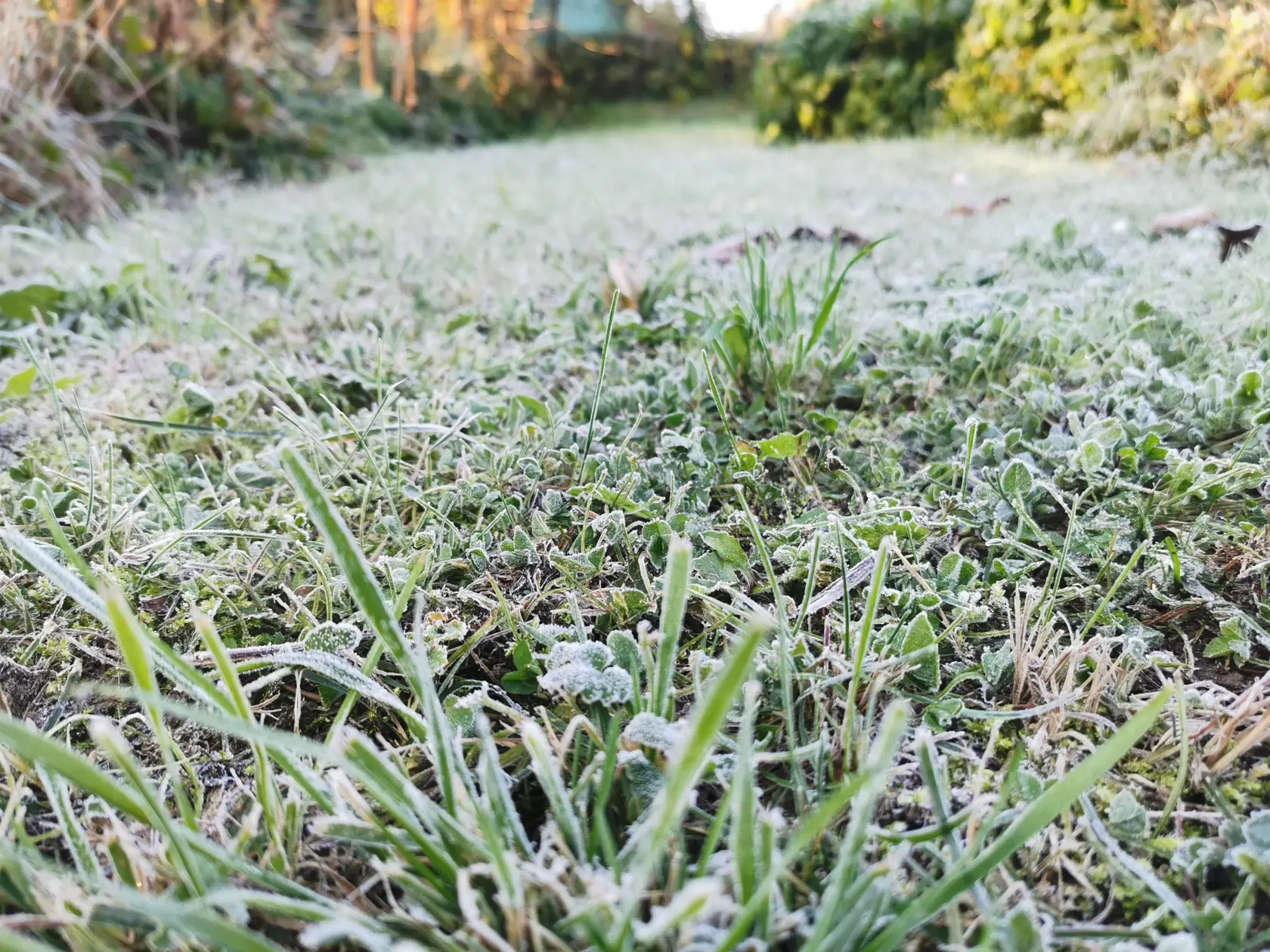 Ešte v stredu tu boli prvé prízemné mrazíky a v najbližších hodinách už má teplota stúpnuť až na 25 stupňov.