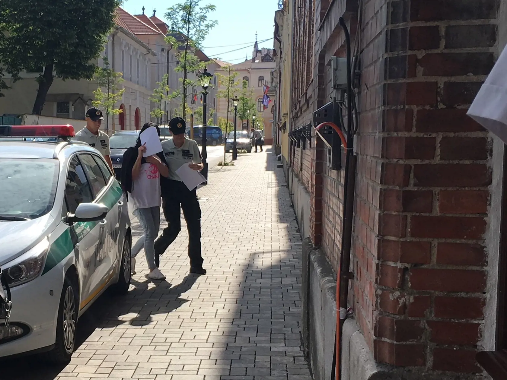 Ilona, ktorá nafúkala 4,83 promile si na súde zakrývala tvár.