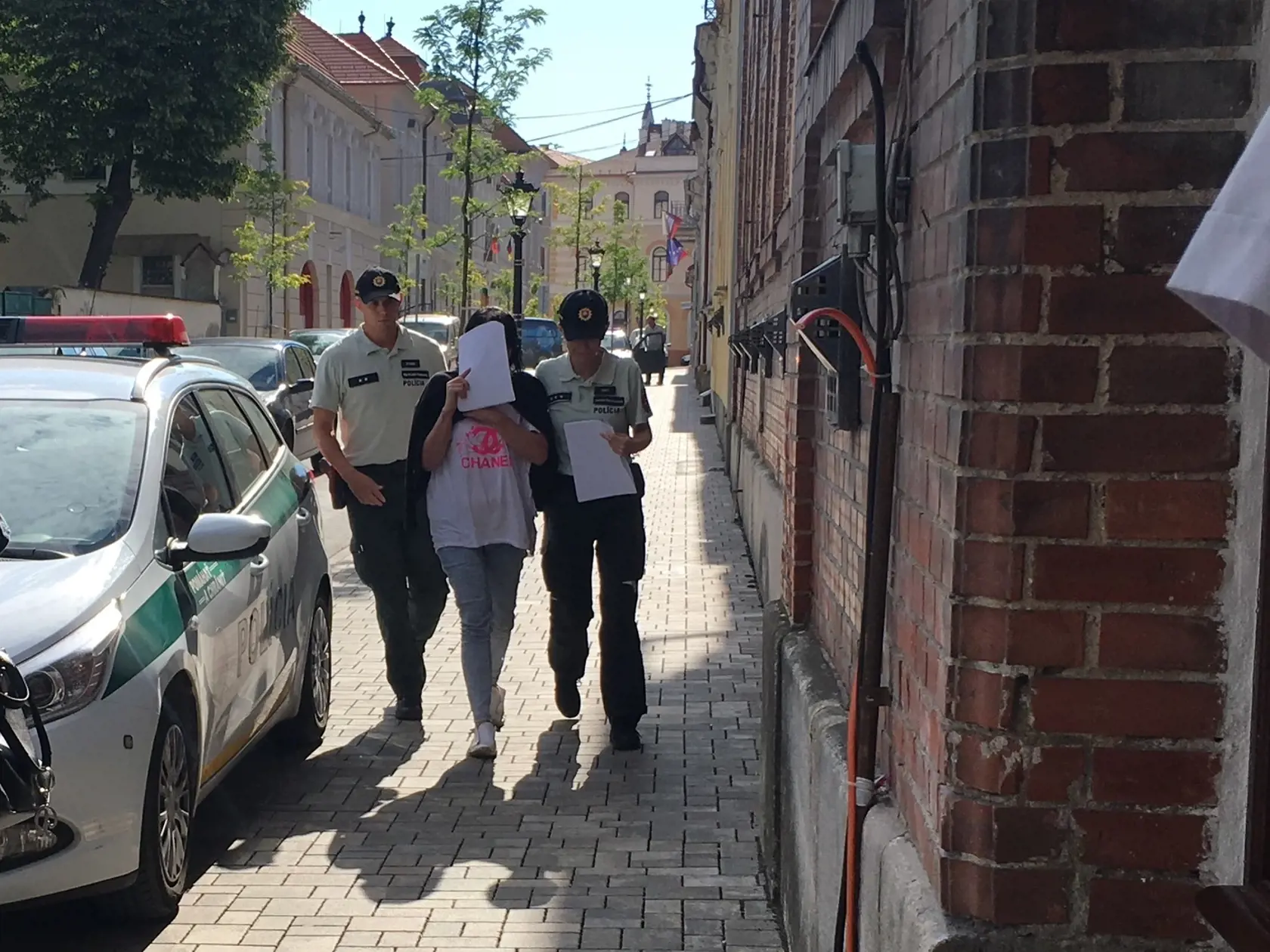 Ilona, ktorá nafúkala 4,83 promile si na súde zakrývala tvár.