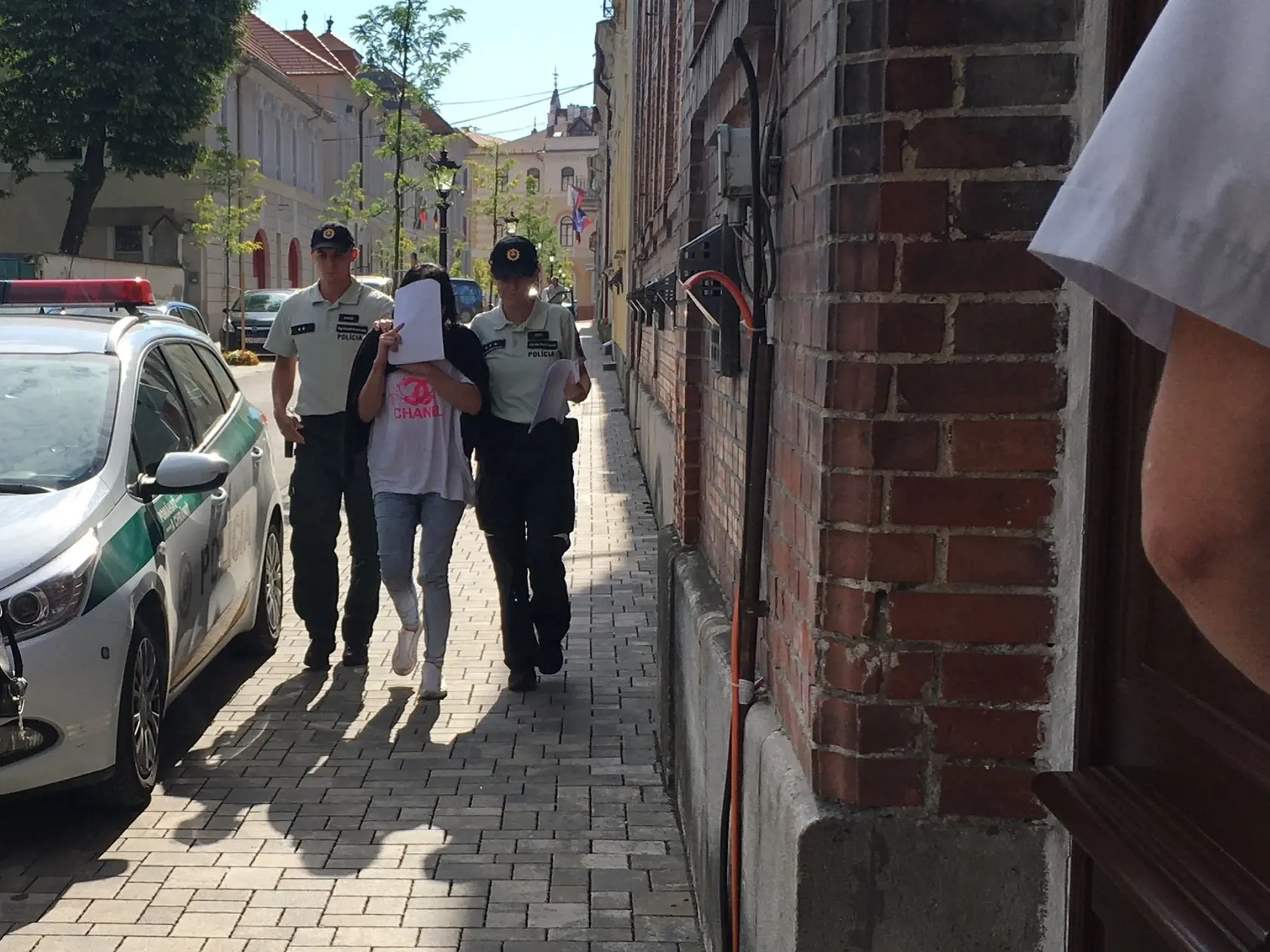 Ilona, ktorá nafúkala 4,83 promile si na súde zakrývala tvár.