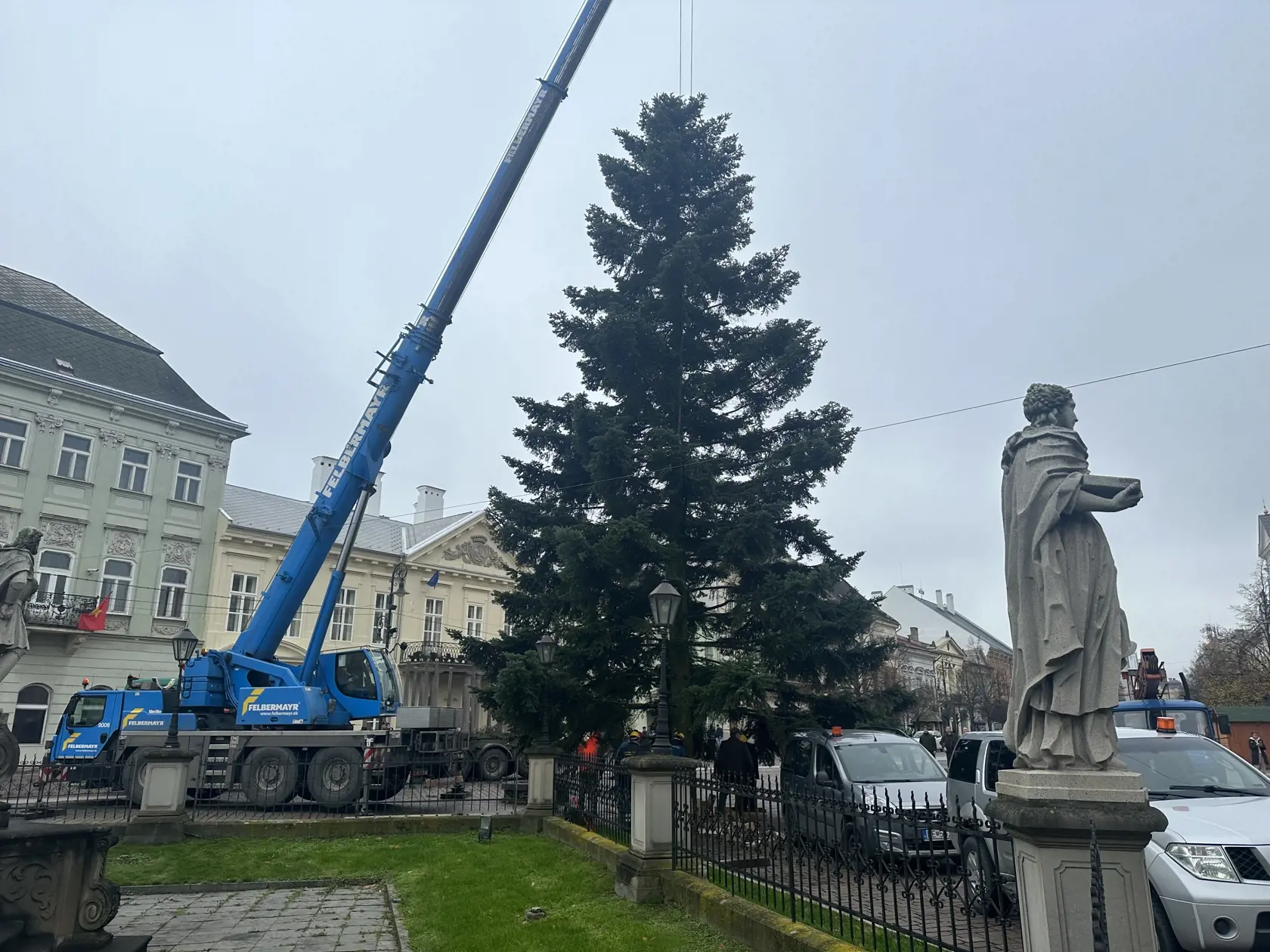 Strom je vysoký 19 metrov.