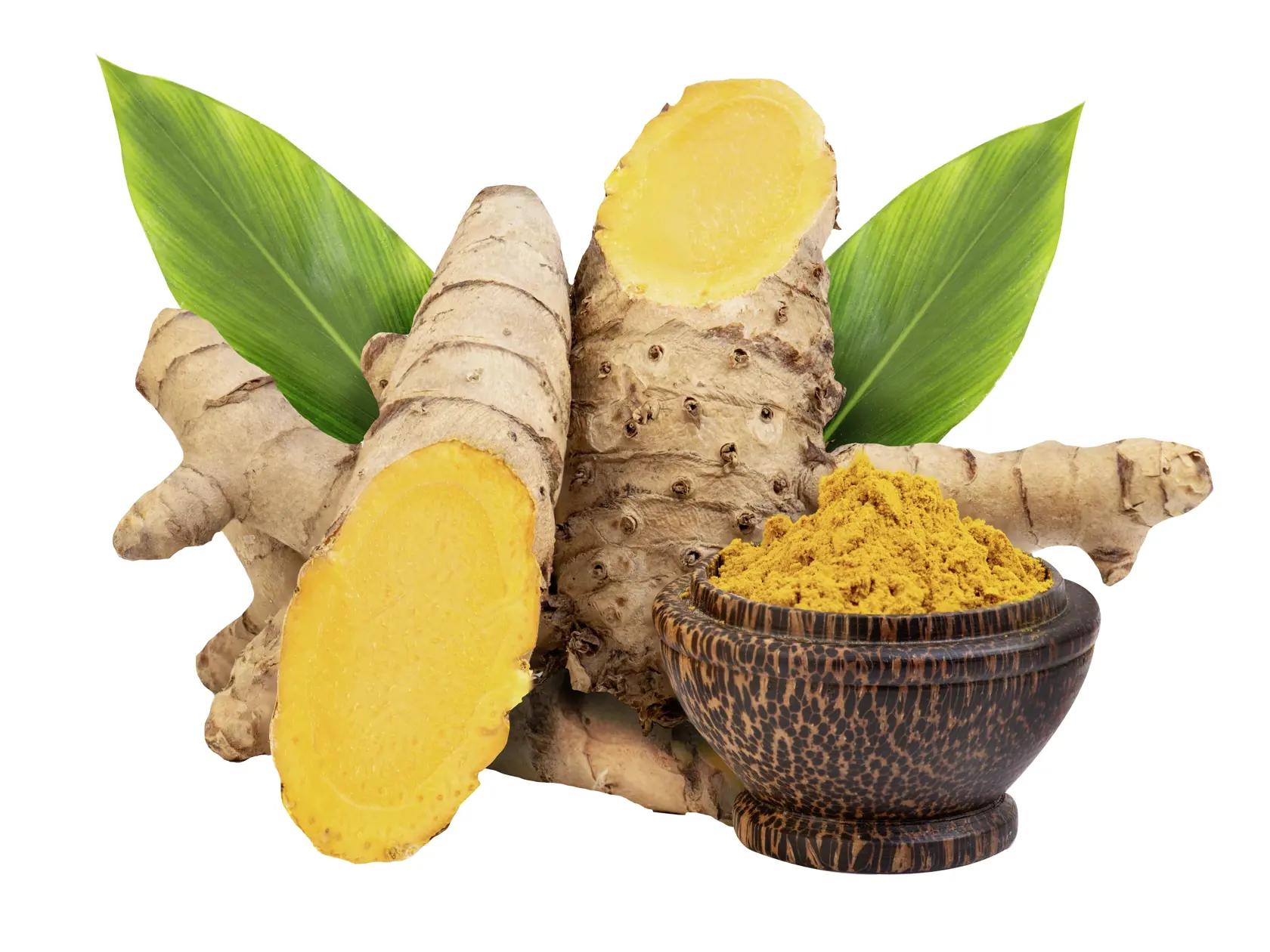 Kurkuma zedoárová (Curcuma zedoaria)