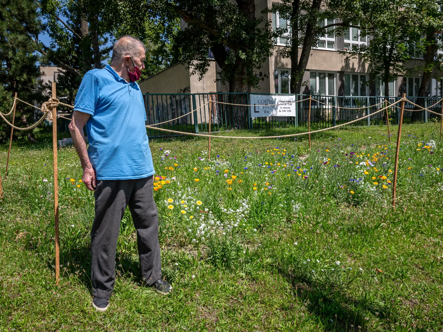 Na snímke pán Rudolf (82) obdivuje mestké lúky v bratislavskej miestnej časti Karlova ves.