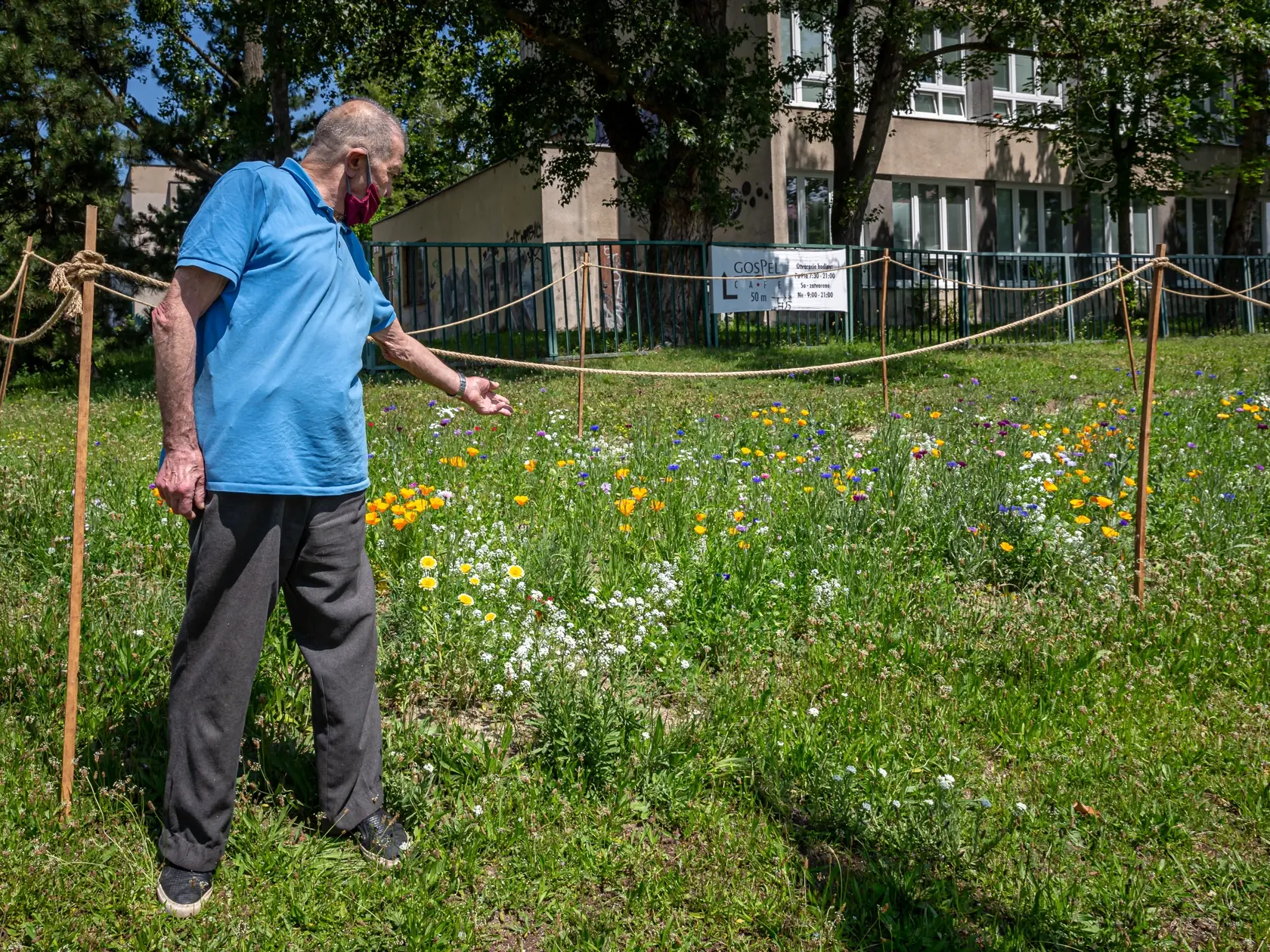 Na snímke pán Rudolf (82) obdivuje mestké lúky v bratislavskej miestnej časti Karlova ves.