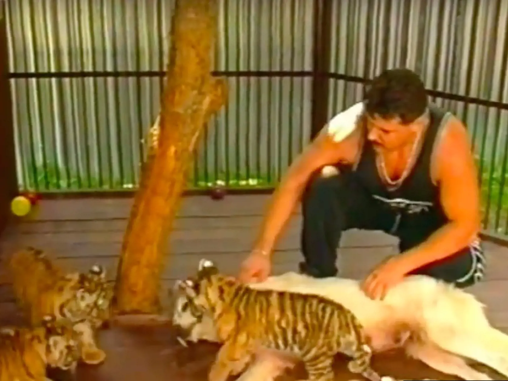 Mikuláš Černák a jeho tigre. Choval ich v čase, keď páchal svoje nejzávažnejšie zločiny. 