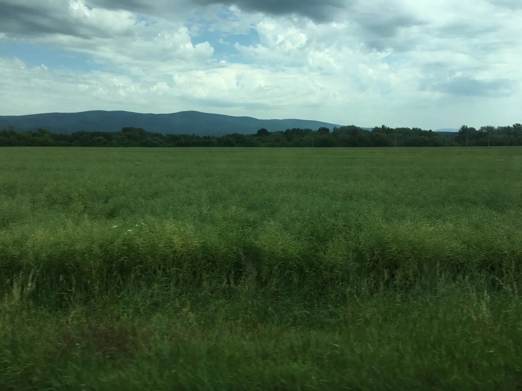 Rovinatá a úrodná pôda na východe Slovenska sa stala predmetom bojov.