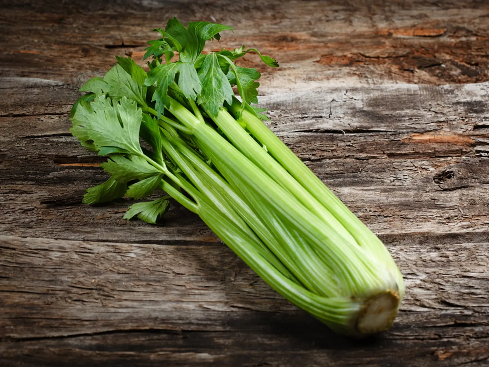 Stonky zeleru obsahujú až 95 percent vody. Navyše obsahuje množstvo vitamínov a minerálov ako draslík, kyselinu listovú, vitamín K a veľa vlákniny. Zeler má močopudný účinok a pomáha detoxikovať telo, podporuje tiež trávenie.