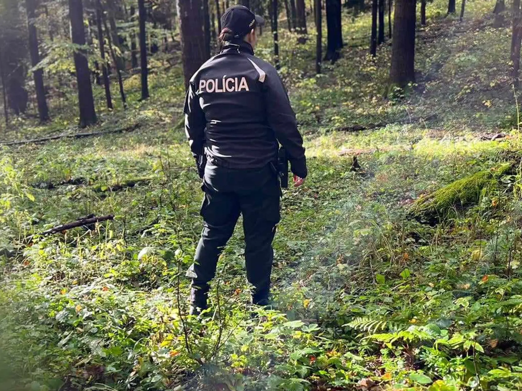 Na snímke záchranné zložky pátrajú po 72-ročnom Banskobystričanovi 25. októbra 2023.
