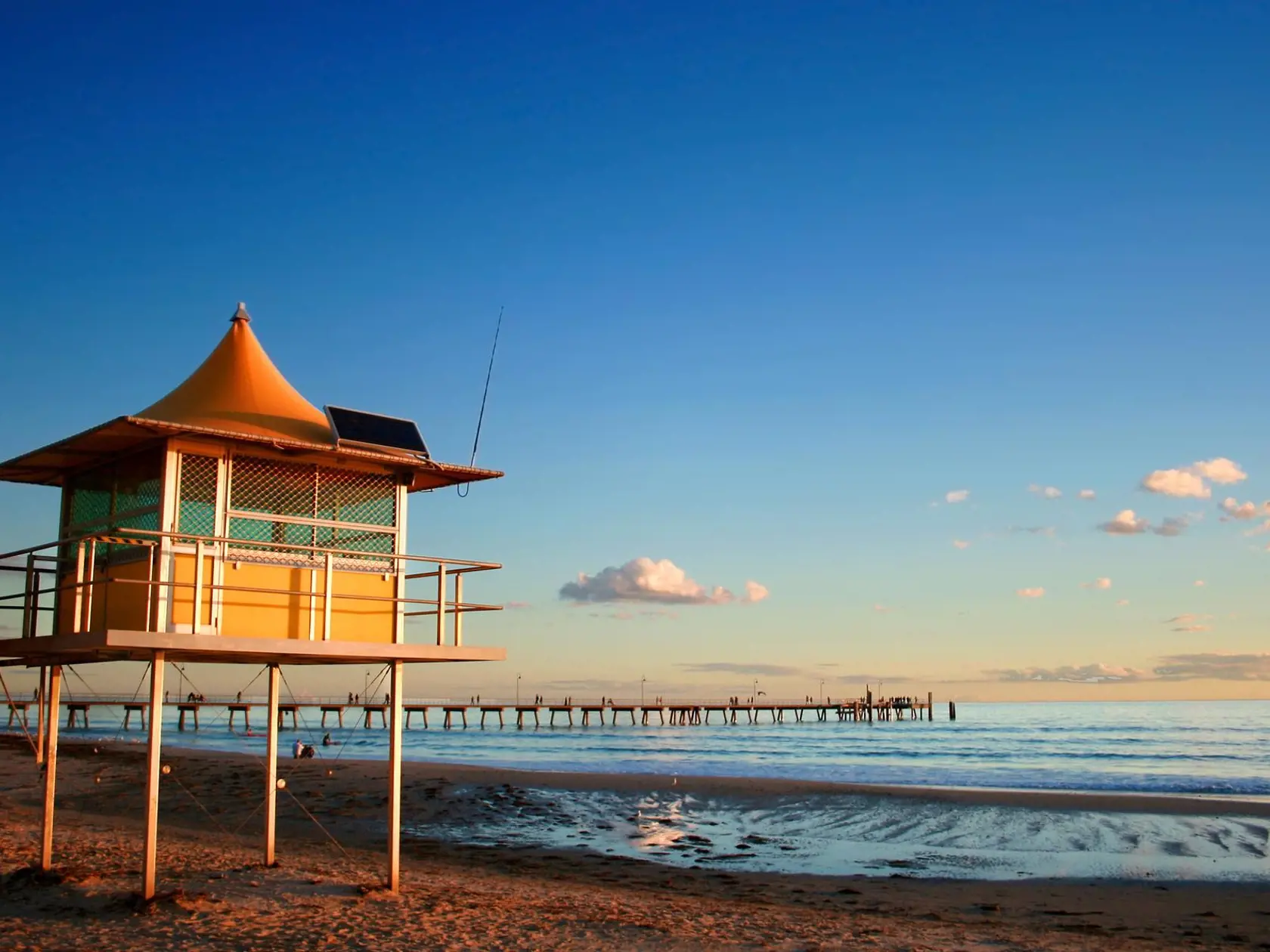 Adelaide, Austrália: zaznamenali tu výskyt najjedovatejšej chobotnice.