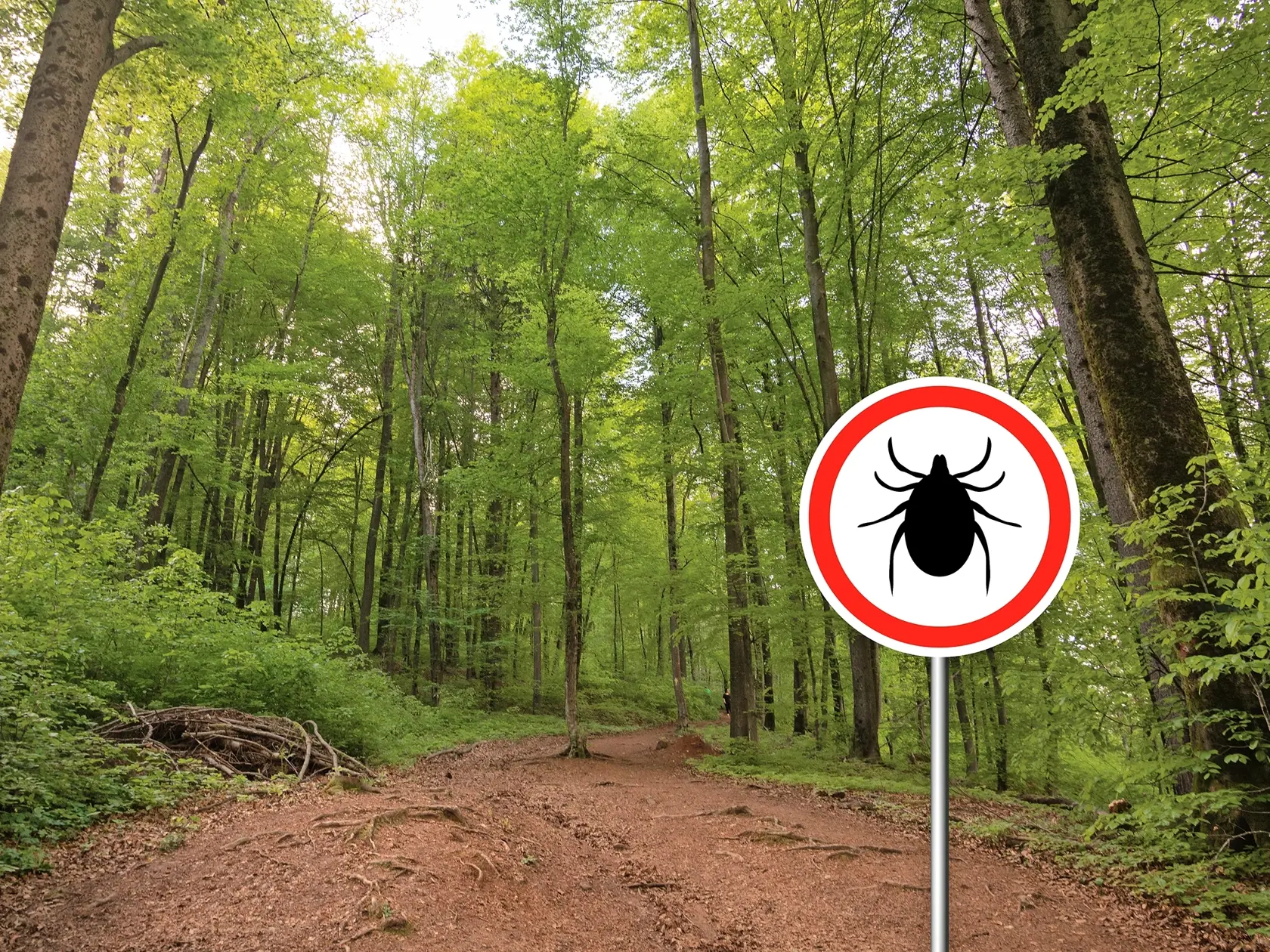 Stačí sa obtrieť nohou o trávu a kliešťa máte na oblečení.