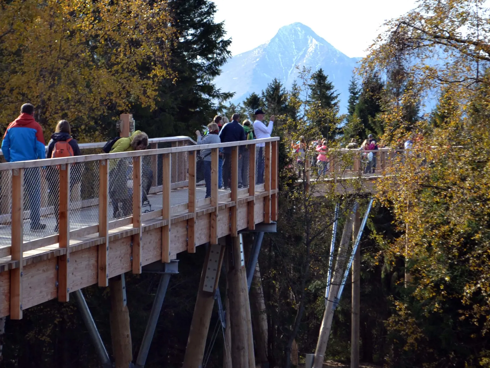 Slovenský unikát: Drevená atrakcia dlhá 1 234 metrov v korunách stromov vyvolala doslova hystériu.