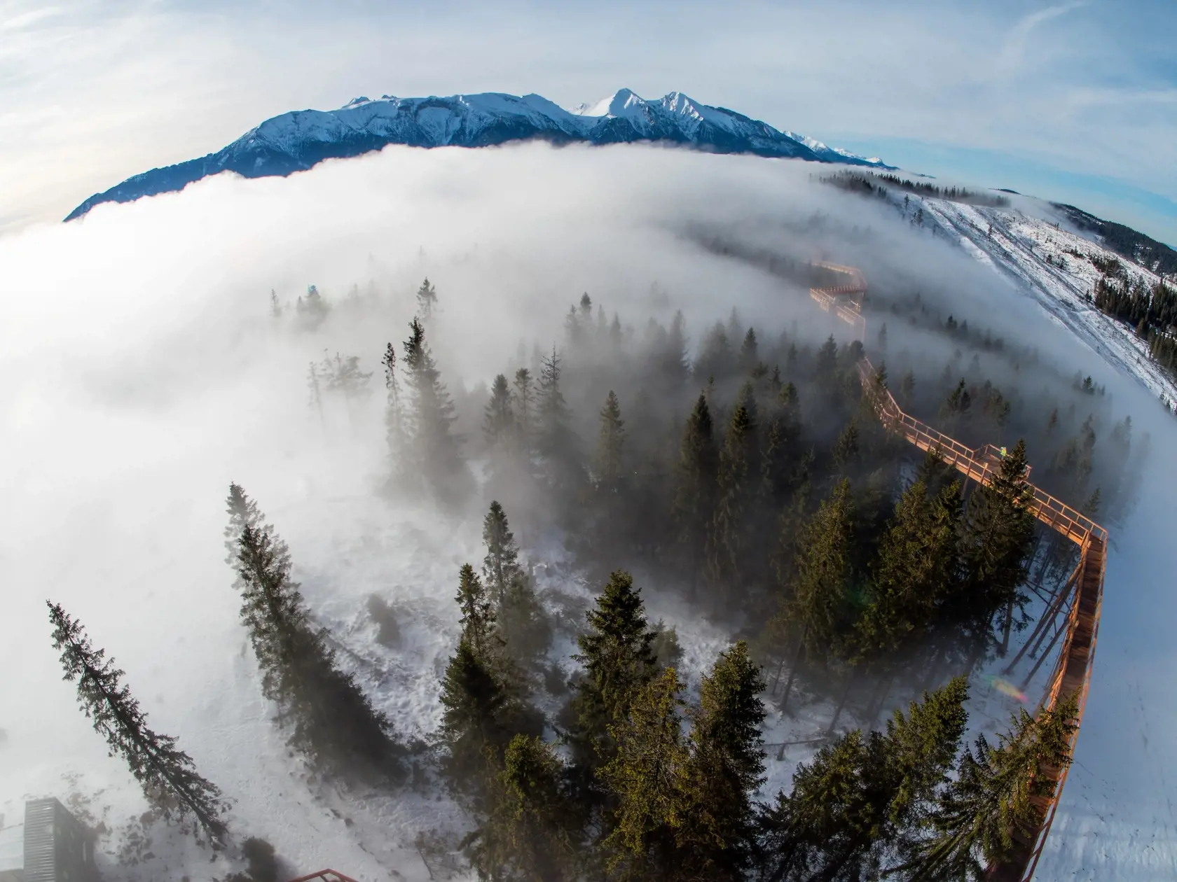 Belianske Tatry - Pieninský národný park - Bachledova dolina - Chodník korunami stromov