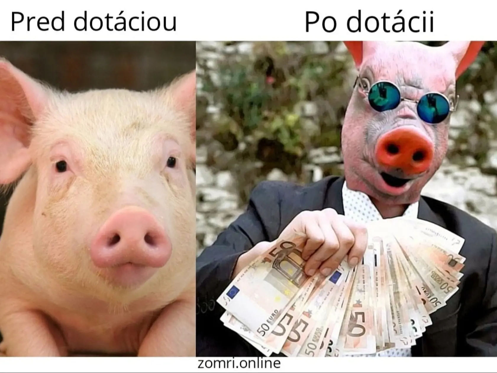 Pred a po dotácii...