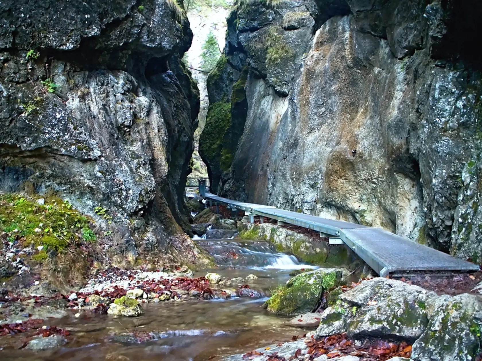 Foto.