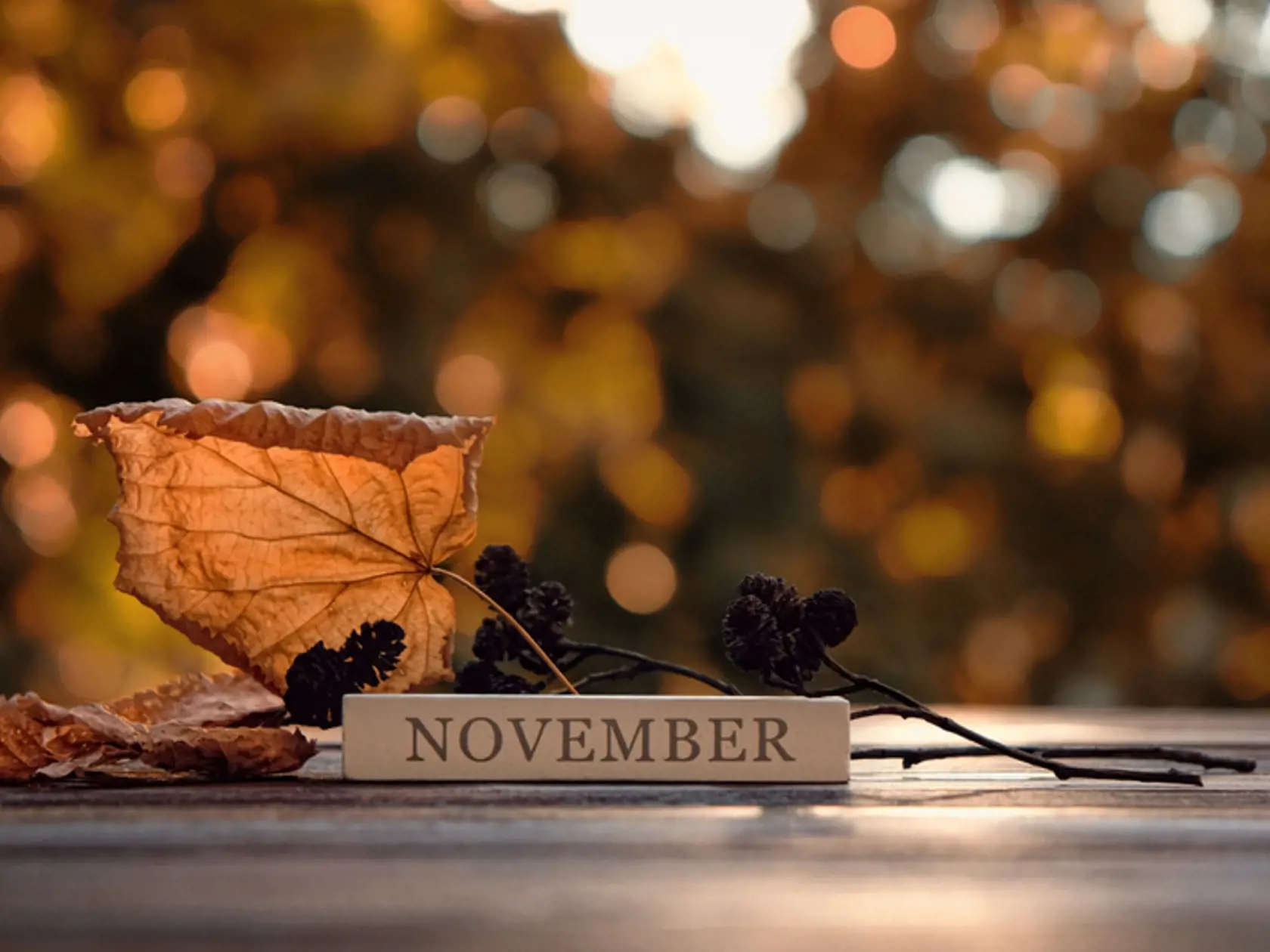 Čo vás čaká v novembri?