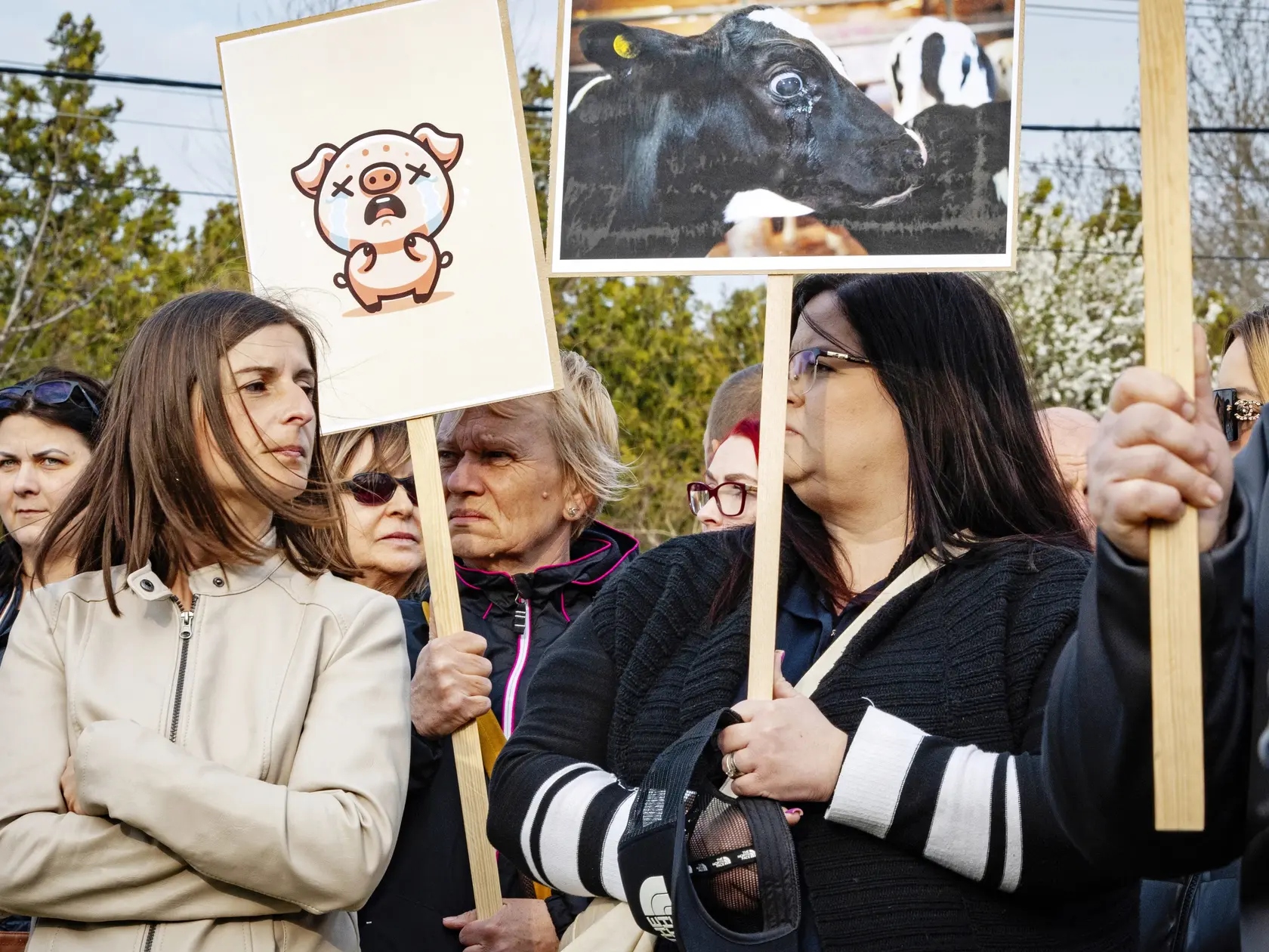Protest. Nie všetci sú stotožnení so zabíjaním zdravých zvierat. Malí chovatelia zorganizovali v obci zhromaždenie.