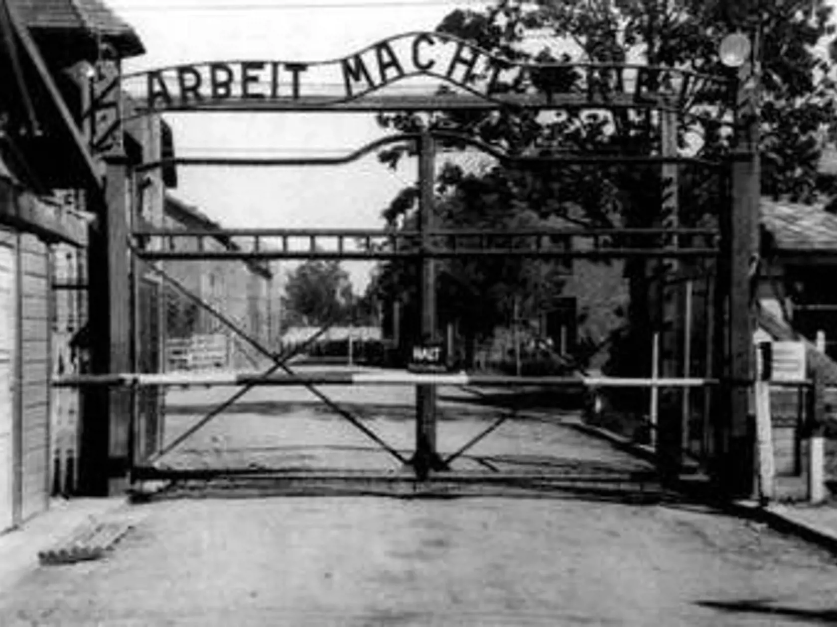 Neďaleko poľského mestečka Osvienčim sa v rokoch 1940 – 1945 nachádzal najväčší komplex nemeckých koncentračných a vyhladzovacích táborov. Za múrmi tohto tábora sa diali zverstvá a zločiny páchané na nevinných ľuďoch, aké v dejinách nemajú obdobu. Osvienčim sa stal symbolom genocídy európskych Židov a utrpenia miliónov ostatných ľudí, ktorí boli nacistickým režimom prenasledovaní a zabíjaní.