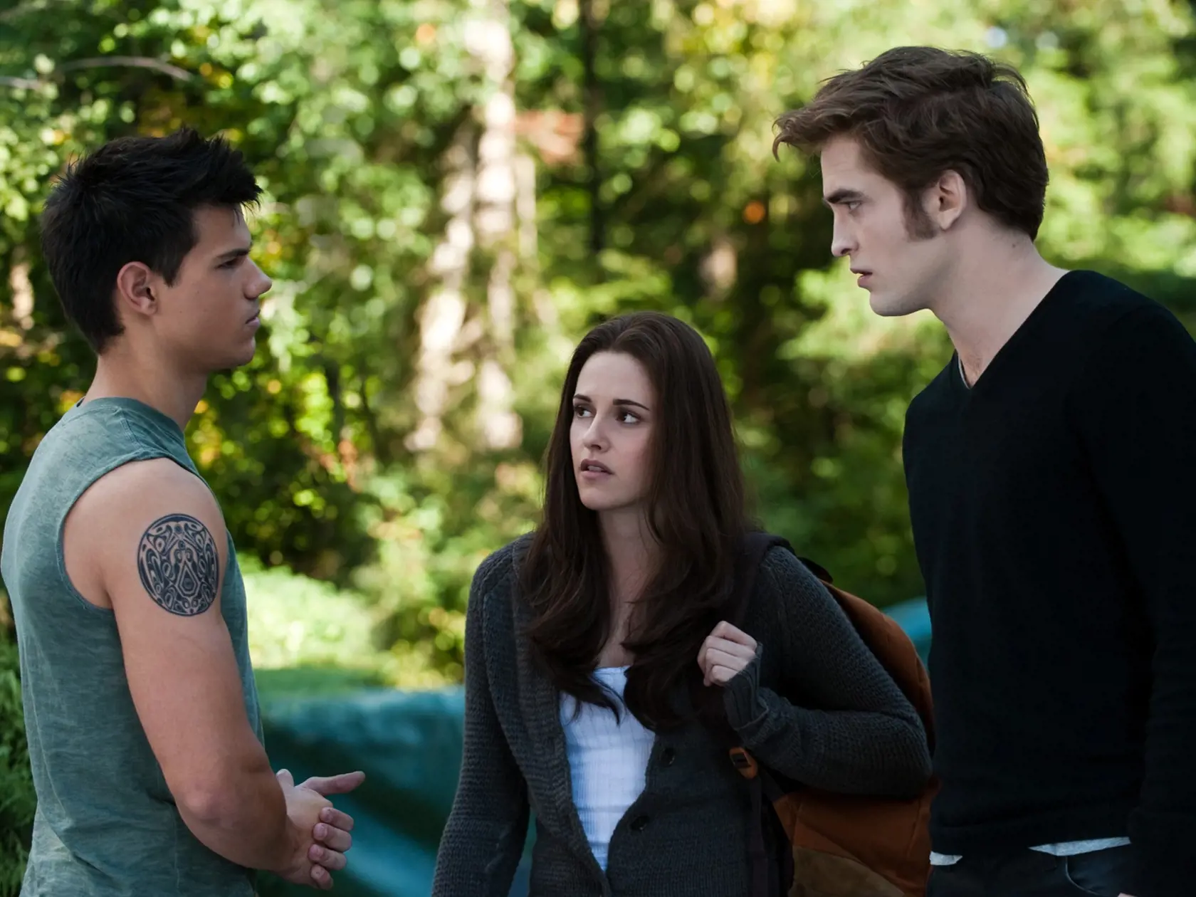 Séria Twilight pritiahla k obrazovkám milióny fanúšičiek. Dôvodom však nebol len nebezpečný upír Robert Pattinson, ale aj vlkolak Taylor Lautner, ktorý sa rovnako usiloval o srdce krásnej Belly (Kristen Stewart).