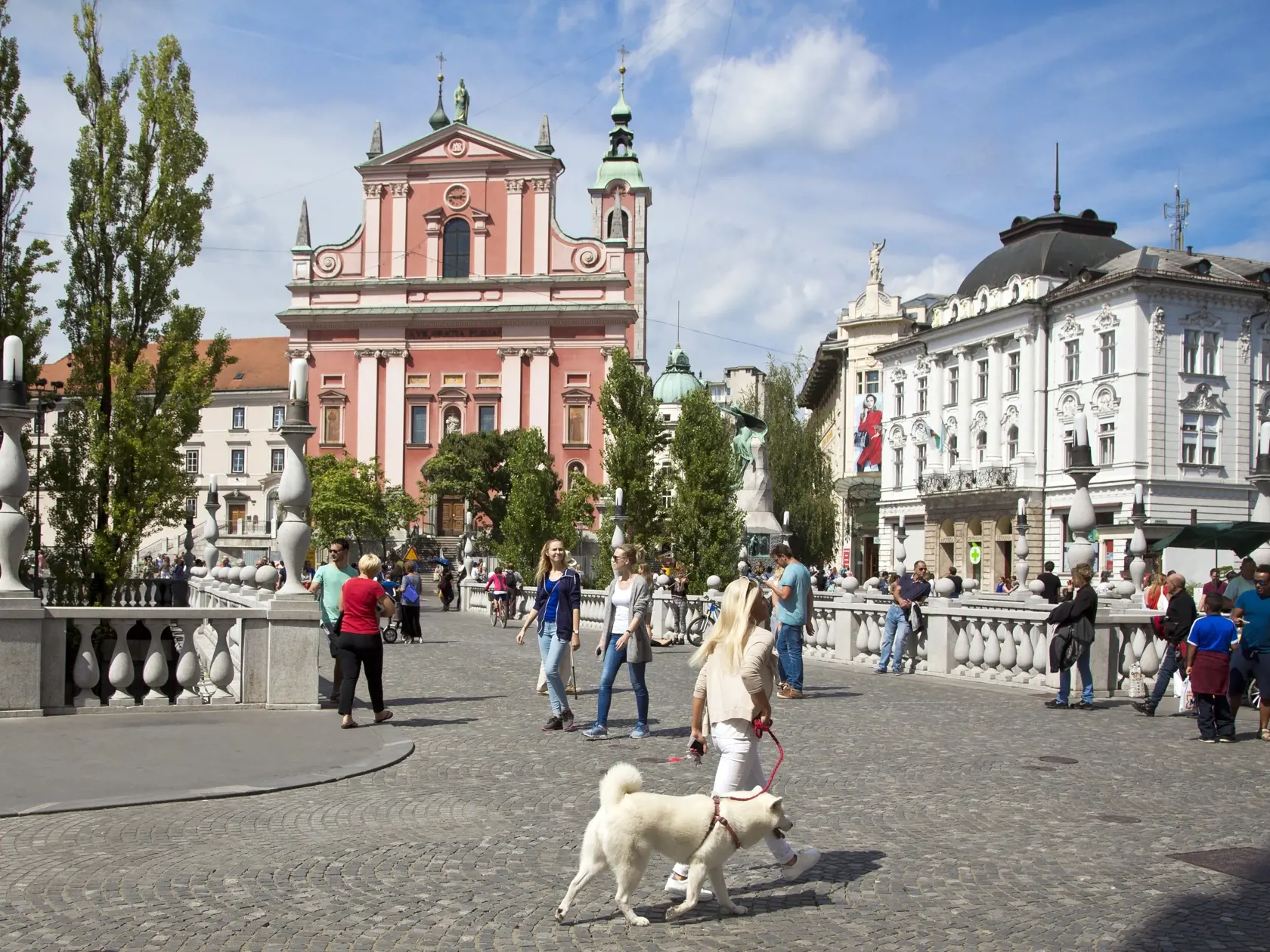 Ročná známka v Slovinsku vyjde až na 110 eur.
