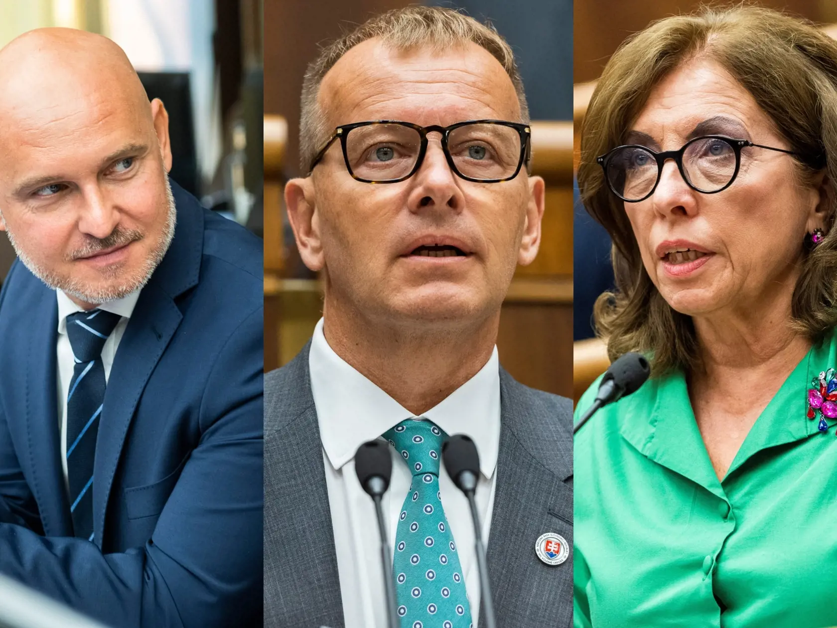 Ako prvá kybernetický útok spochybnila šéfka poslaneckého klubu SaS Anna Zemanová. „Na grémiu nám povedali, že ide o rozsiahly problém, ktorý rieši NBÚ ako vážny hackerský útok. Žiadala som, aby na grémiu bol niekto prizvaný z NBÚ a aby vysvetlil rozsah tohto problému. Bola som vysmiata a povedali mi, že mám si to riešiť s riaditeľom kancelárie,“ sťažovala sa Zemanová