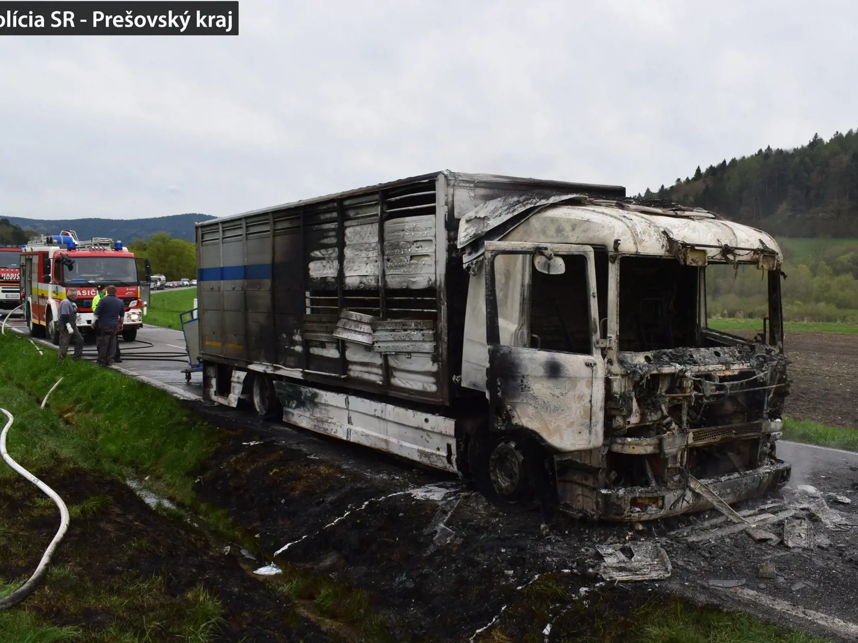 Nákladiak vzbĺkol počas jazdy, zhoreli v ňom štyri zvieratá.