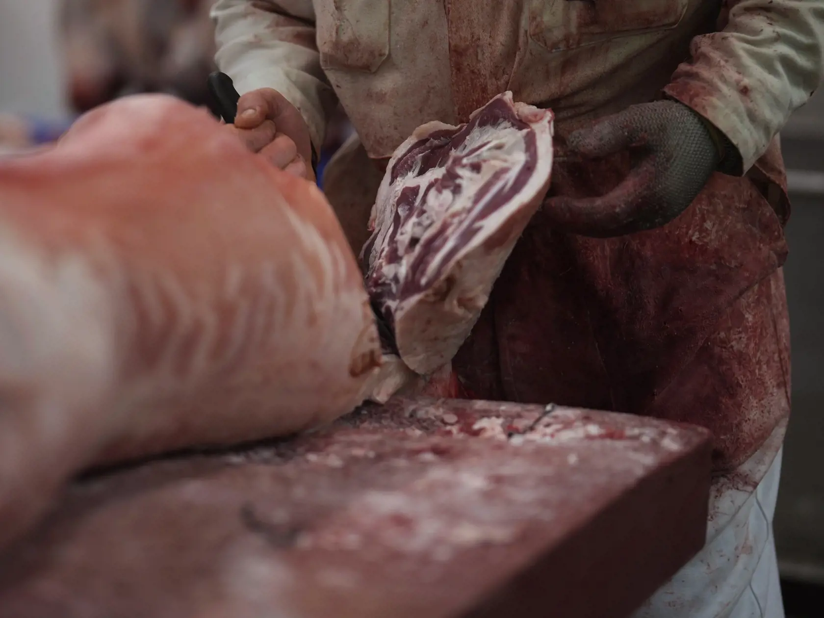 AZ8 Londýn - Mäsiar pripravuje mäso na najväčšom britskom veľkoobchodnom trhu s mäsom Smithfield Market v Londýne v piatok 10. januára 2025. FOTO TASR/AP

 
Butcher, Adam Gardner prepares meat inside Smithfield Market, Britain's largest wholesale meat market, in London, early morning Friday, Jan. 10, 2025. (AP Photo/Kin Cheung)