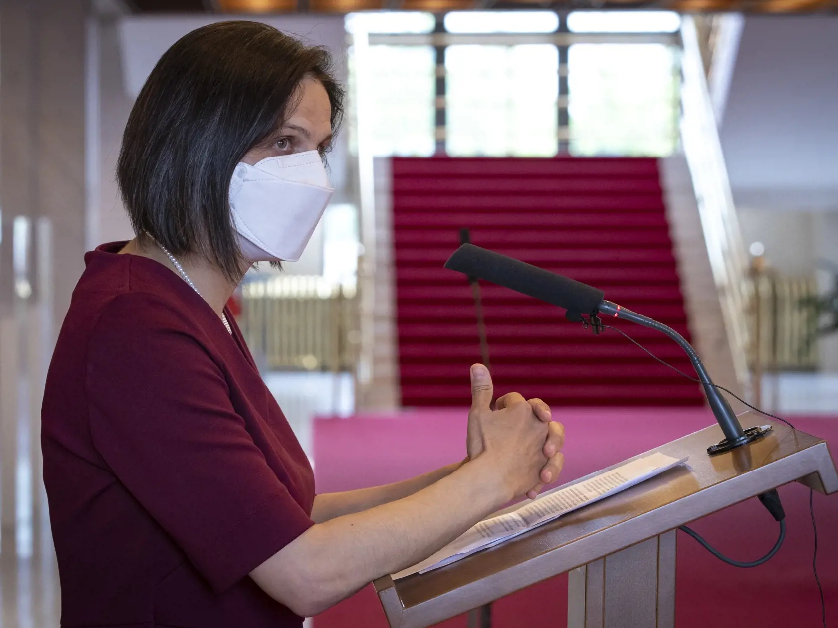29. schôdza Národnej rady SR, na ktorej bol okrem iného prerokovaný aj poslanecký návrh vyslovenia nedôvery členovi vlády SR Márii Kolíkovej poverenej riadením Ministerstva spravodlivosti Slovenskej republiky.
