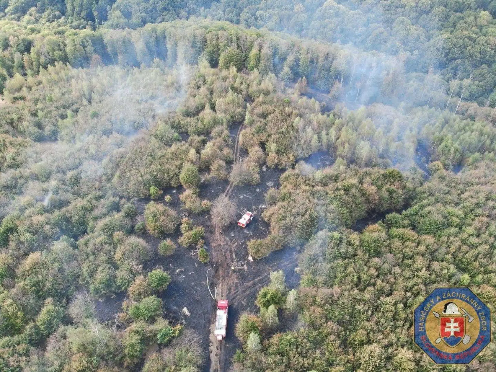Požiarovisko bolo postupne rozdelené na 4 zásahové úseky, pričom na monitorovanie situácie bol využívaný aj dron s termovíziou.