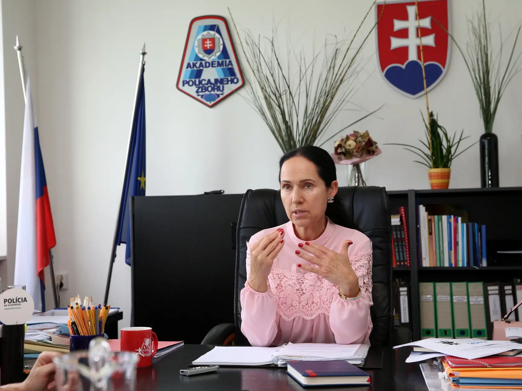 Prof. Lucia Kurilovská patrí medzi slovenských expertov na trestné právo.