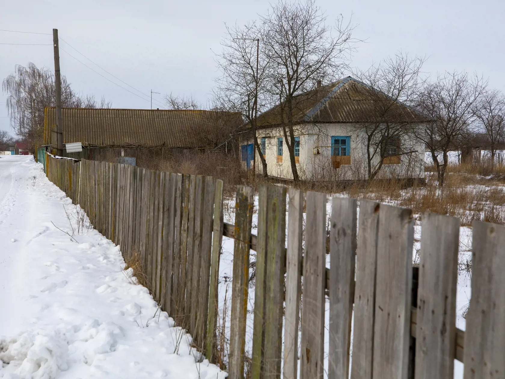 Dedina Kipti sa nachádza medzi Kyjevom a hranicami z Ruskom. V prípade vojny sa môže stať terčom útoku. Toto iba malo ovplyvňuje bežný život zasneženej dedinky a miestni sa venujú každodenným starostiam.