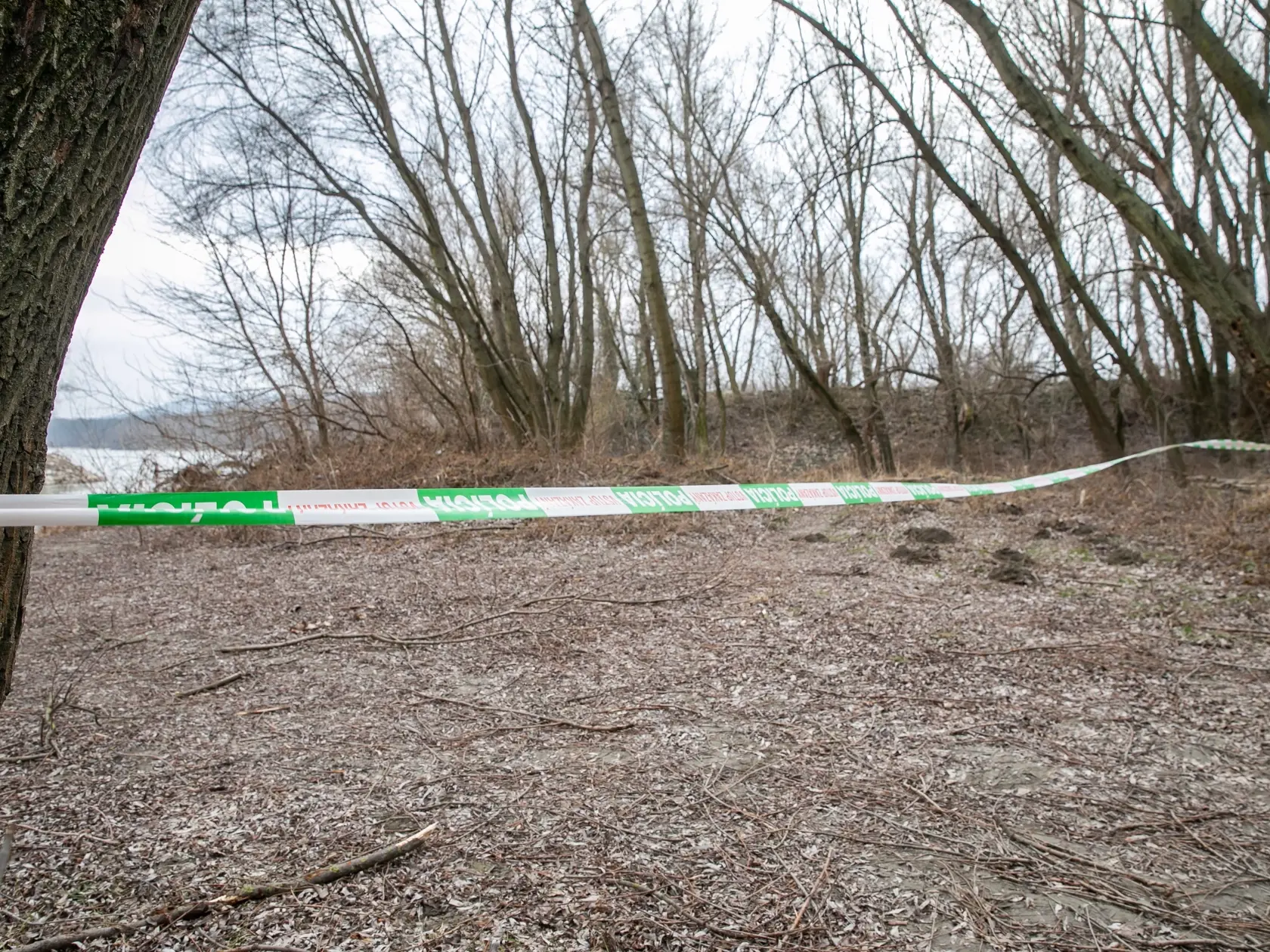 Petra Bučku našli obeseného v kameňolome Slovenského vodohospodárskeho podniku v Bratislave pri Devíne.