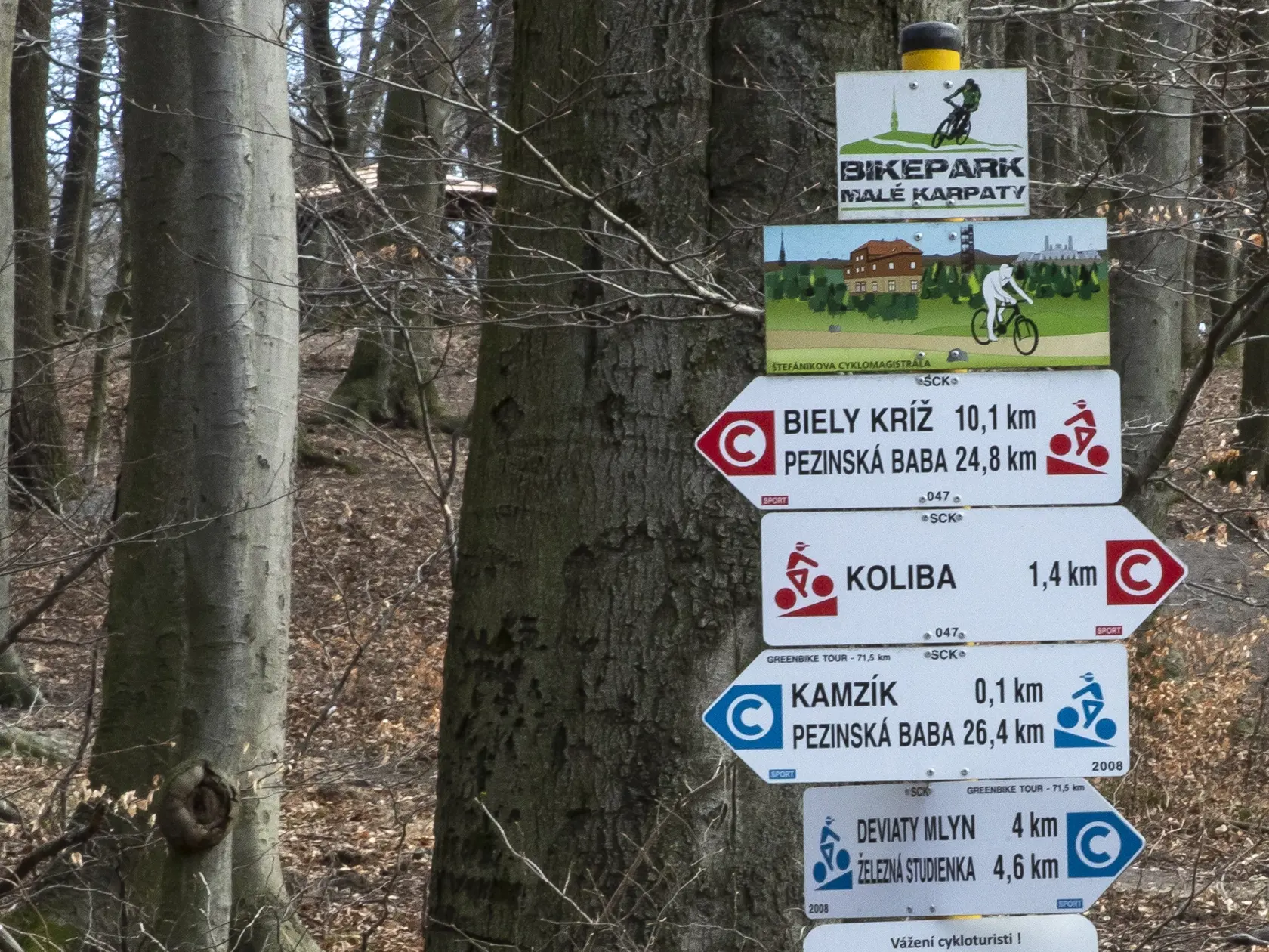 Bratislavskú Kolbu si zvolil bývalý hokejista Dávid Bajtoš ako miesto svojho dobrovoľného odchodu zo sveta.