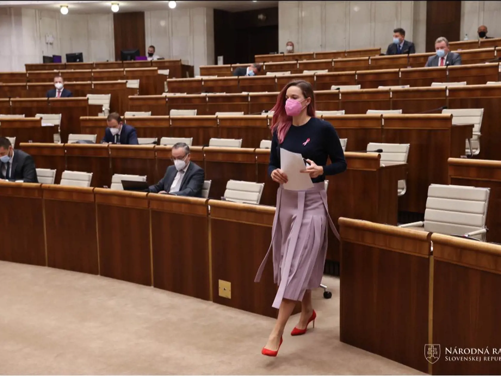 Ružový október je mesiacom boja proti rakovine prsníka. Extenistka si to pripomenula zmenou imidžu, vďaka ktorej bola v parlamente neprehliadnuteľná. Tabák si totiž nafarbila vlasy na ružovo.