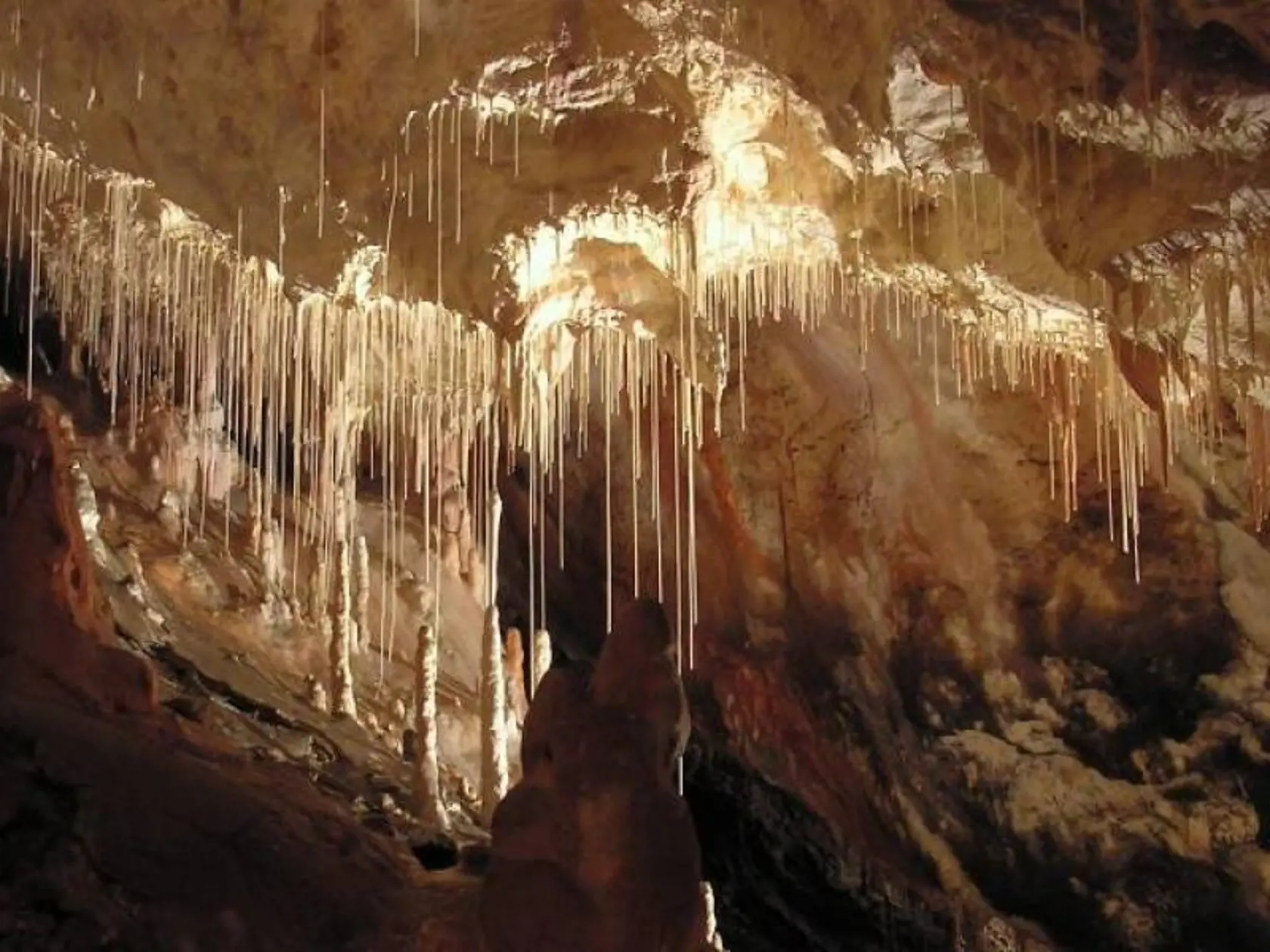 Gombasecká jaskyňa patrí medzi najvýznamnejšie v NP Slovenský kras. Známa je najmä výskytom  sintrových brčiek, čo sú tenké  snehobiele, až 3 m dlhé  trubicovité stalaktitové útvary. Tieto ostro kontrastujú s hnedočerveným podkladom vápencových stien. Vývojovo patrí Gombasecká jaskyňa medzi najmladšie, je zaradená do Zoznamu svetového kultúrneho a prírodného dedičstva UNESCO. Mikroklimatické podmienky sú vhodné na liečbu chorôb dýchacích ciest. Časy vstupov: každú hodinu od 9,00 – 16,00 h. Vstup