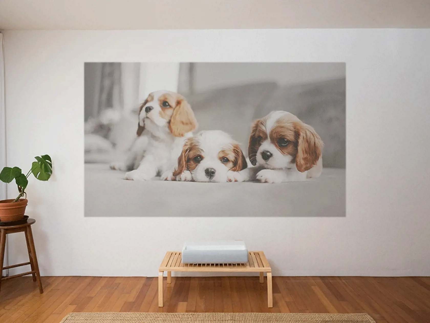 Ilustračné foto