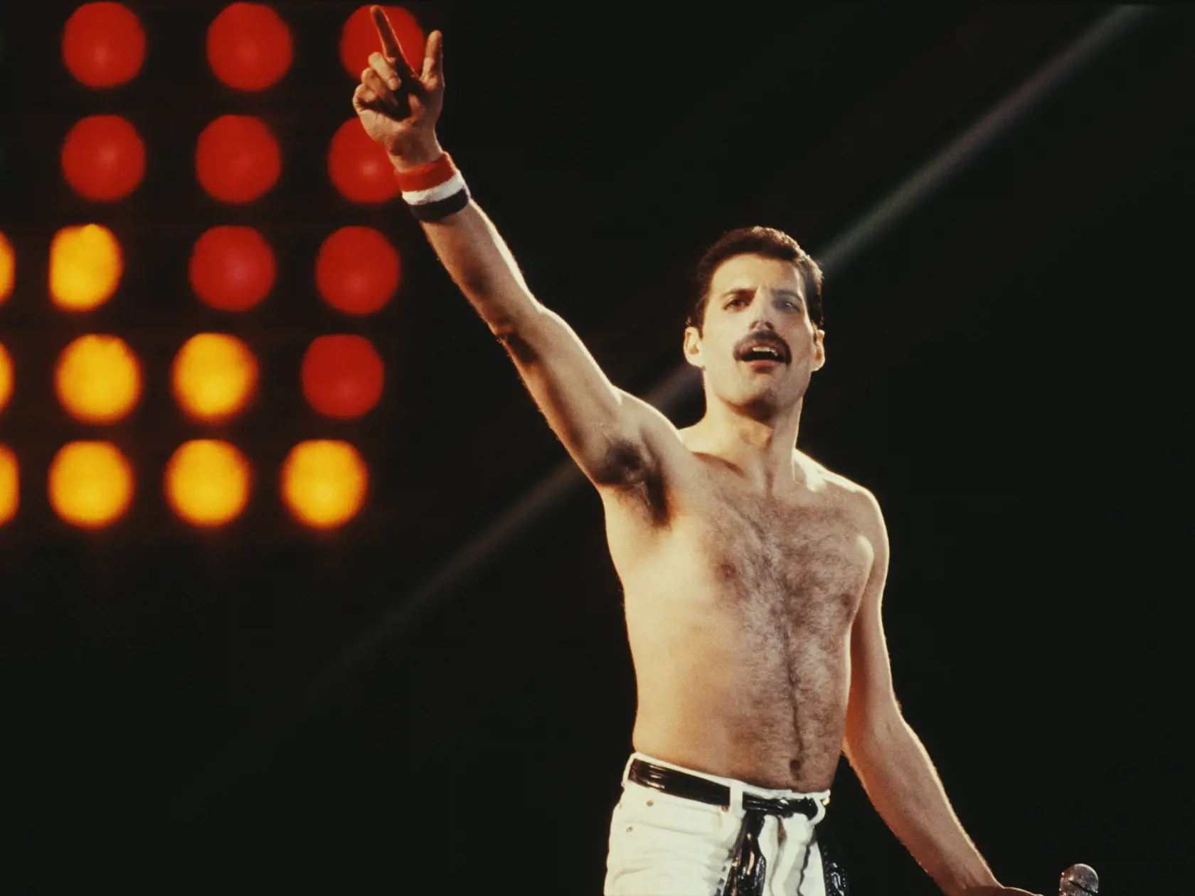 Legendárny spevák a frontman skupiny Queen nenávidel svoje zuby a miloval klavír. Jeho kontroverzný životný štýl však prináša neustále nové poznatky o jeho živote. Jeho priateľ Elton John napríklad dostal po jeho smrti darček s venovaním. Bol v ňom Freddieho vankúš, ktorý mu pred odchodom na druhý svet poslal.