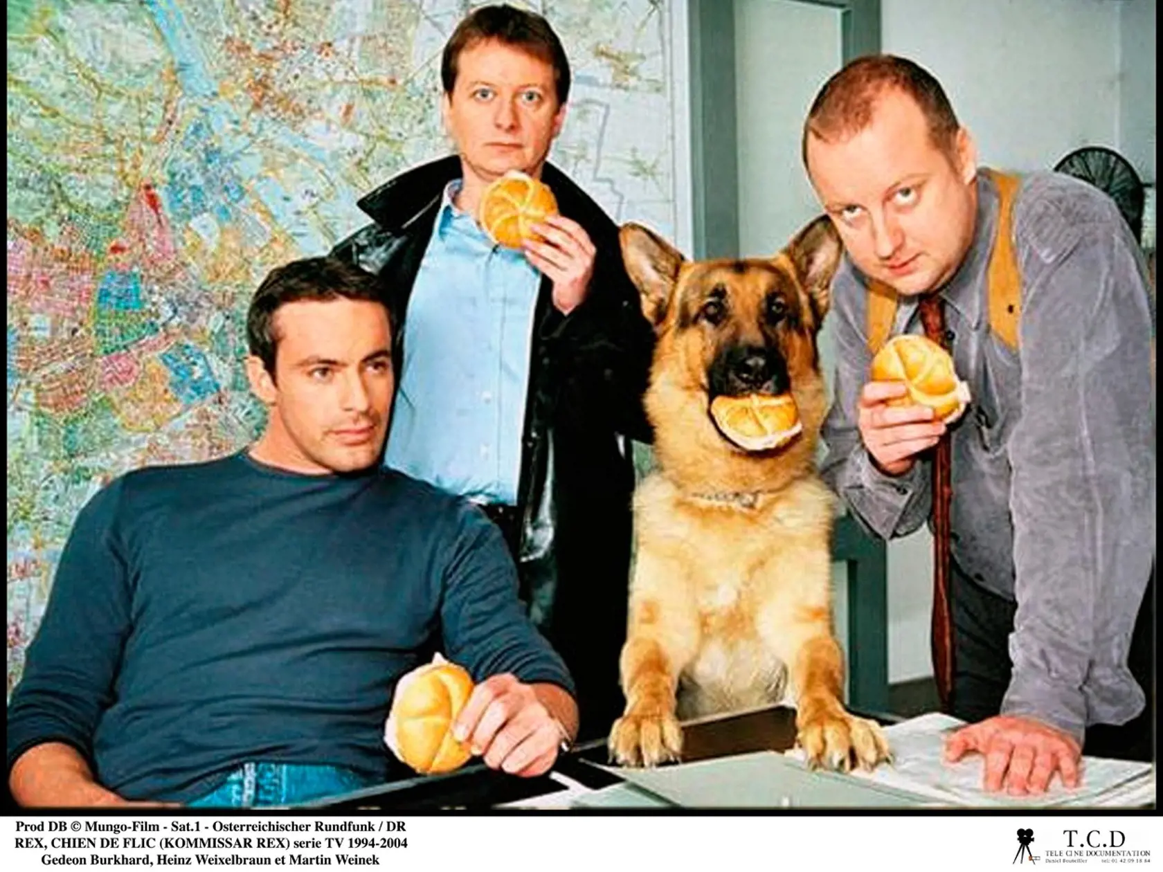 Prod DB Â© Mungo-Film - Sat.1 - Osterreichischer Rundfunk / DR REX, CHIEN DE FLIC (REX/KOMMISSAR REX) serie TV 1994-2004 ALL. avec Gedeon Burkhard, Heinz Weixelbraun et Martin Weinek  chien policier, berger allemand, commissariat de police, holster, bureau, beignets, petit pain, Image: 174179121, License: Rights-managed, Restrictions: NO RESTRICTION, Model Release: no, Credit line: Profimedia, Visual movies