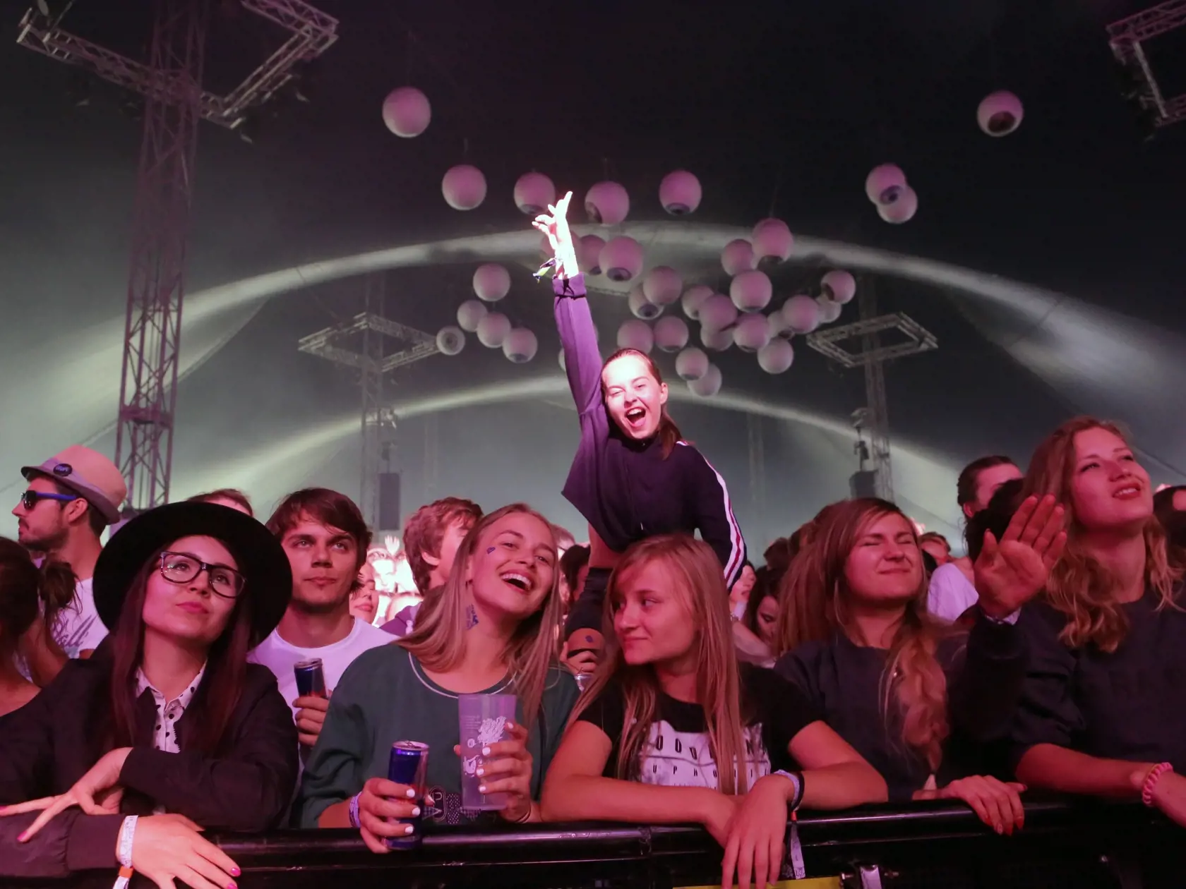 Festival Grape.