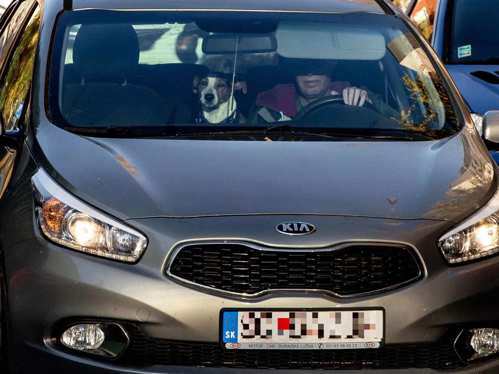 Keď si sadol za volant, vyklopil clonu proti slnku. Psík sa usadil vedľa svojho pána.